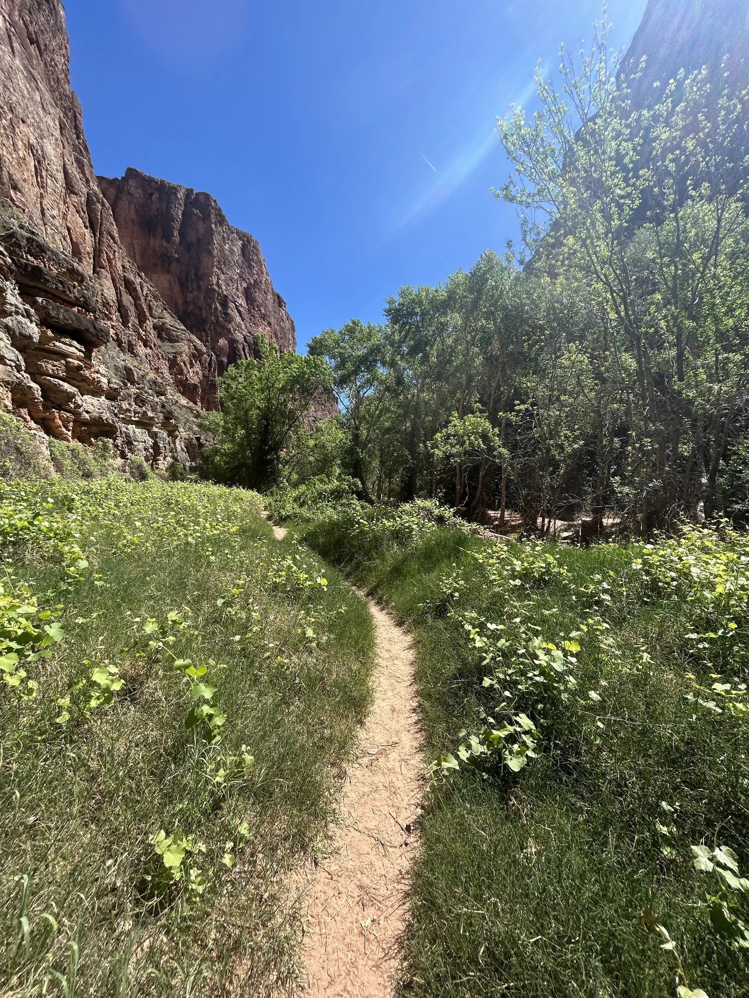 A Planner’s Diary in April