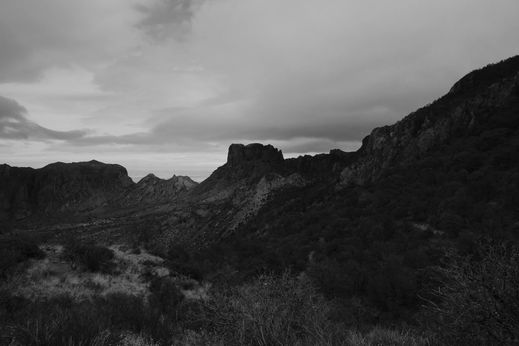 DSCF6985.jpg