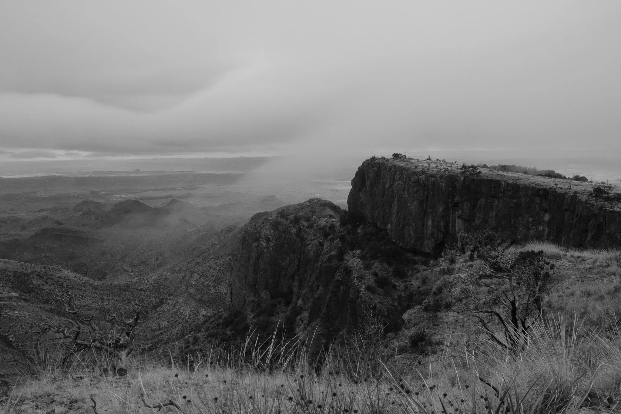 DSCF6914.jpg