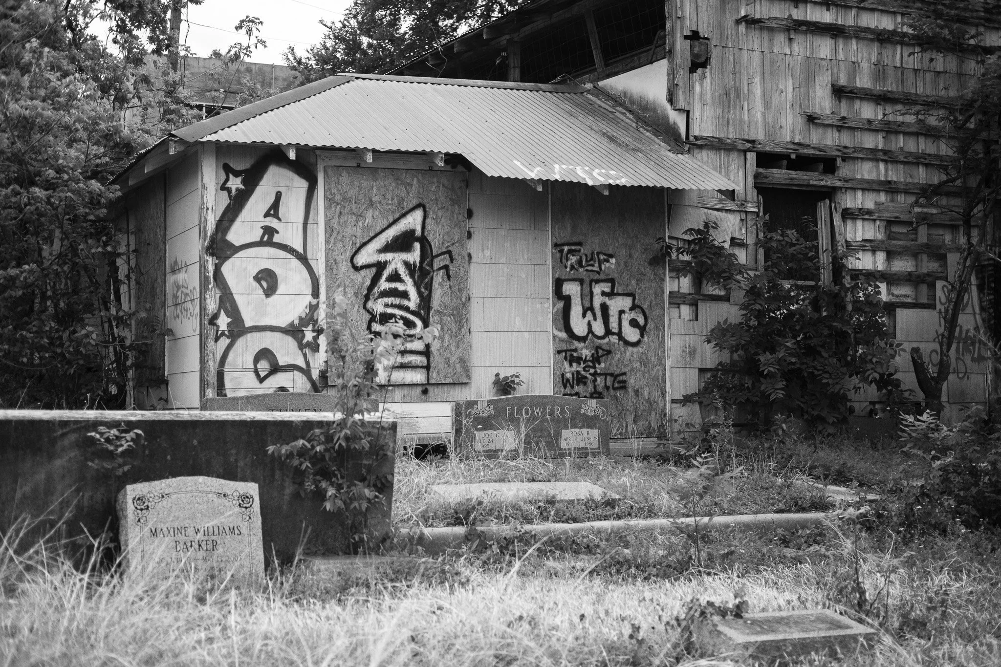 DSCF5740.jpg