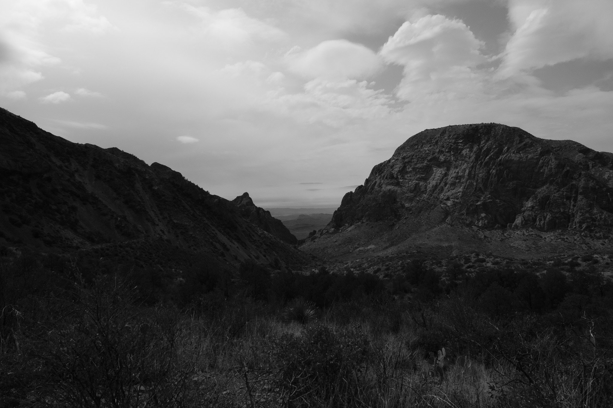 DSCF7085.jpg