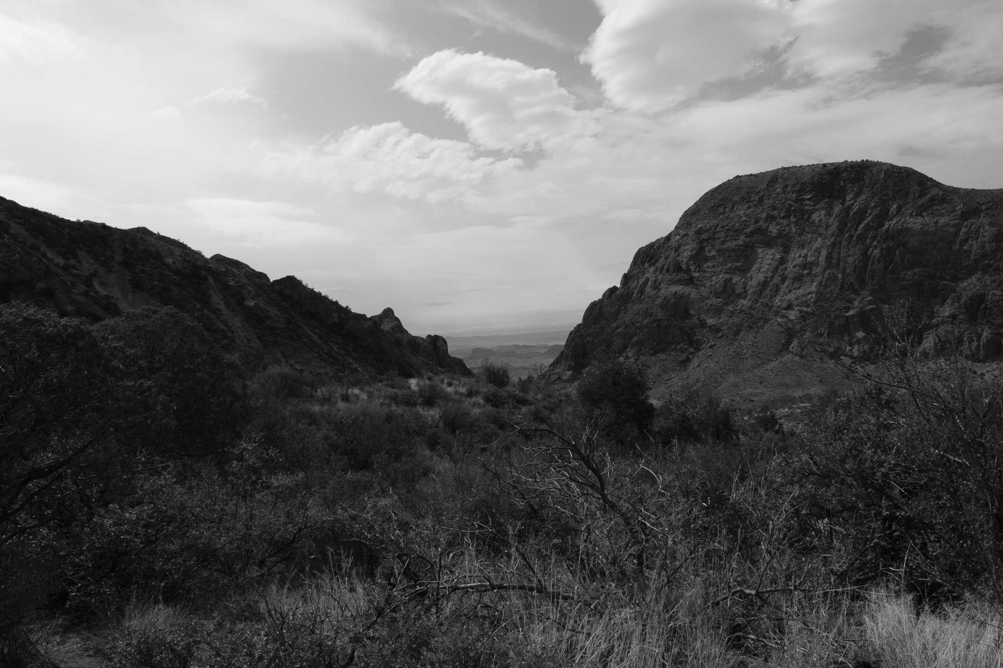 DSCF7055.jpg