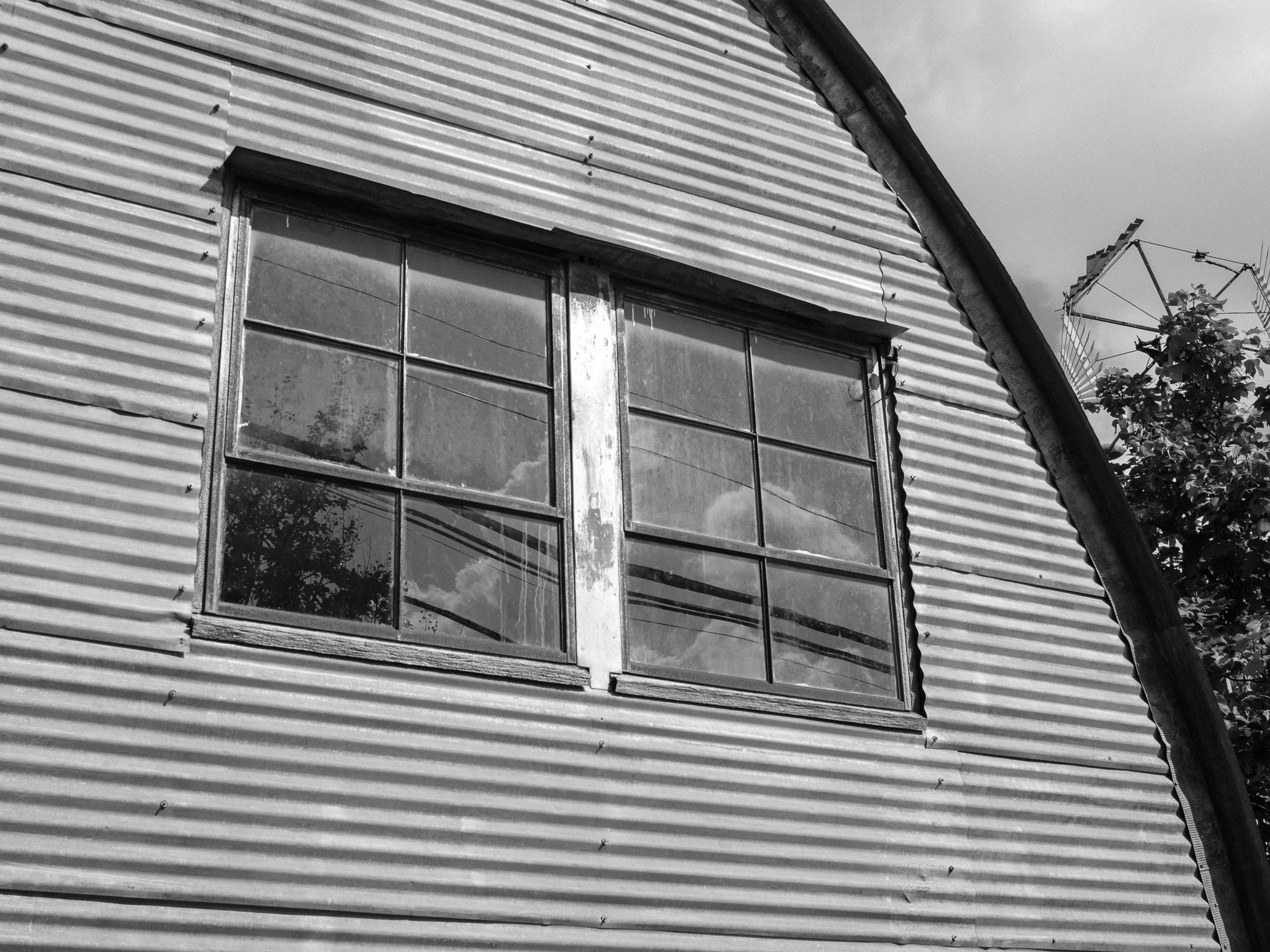 DSCF0848.jpg