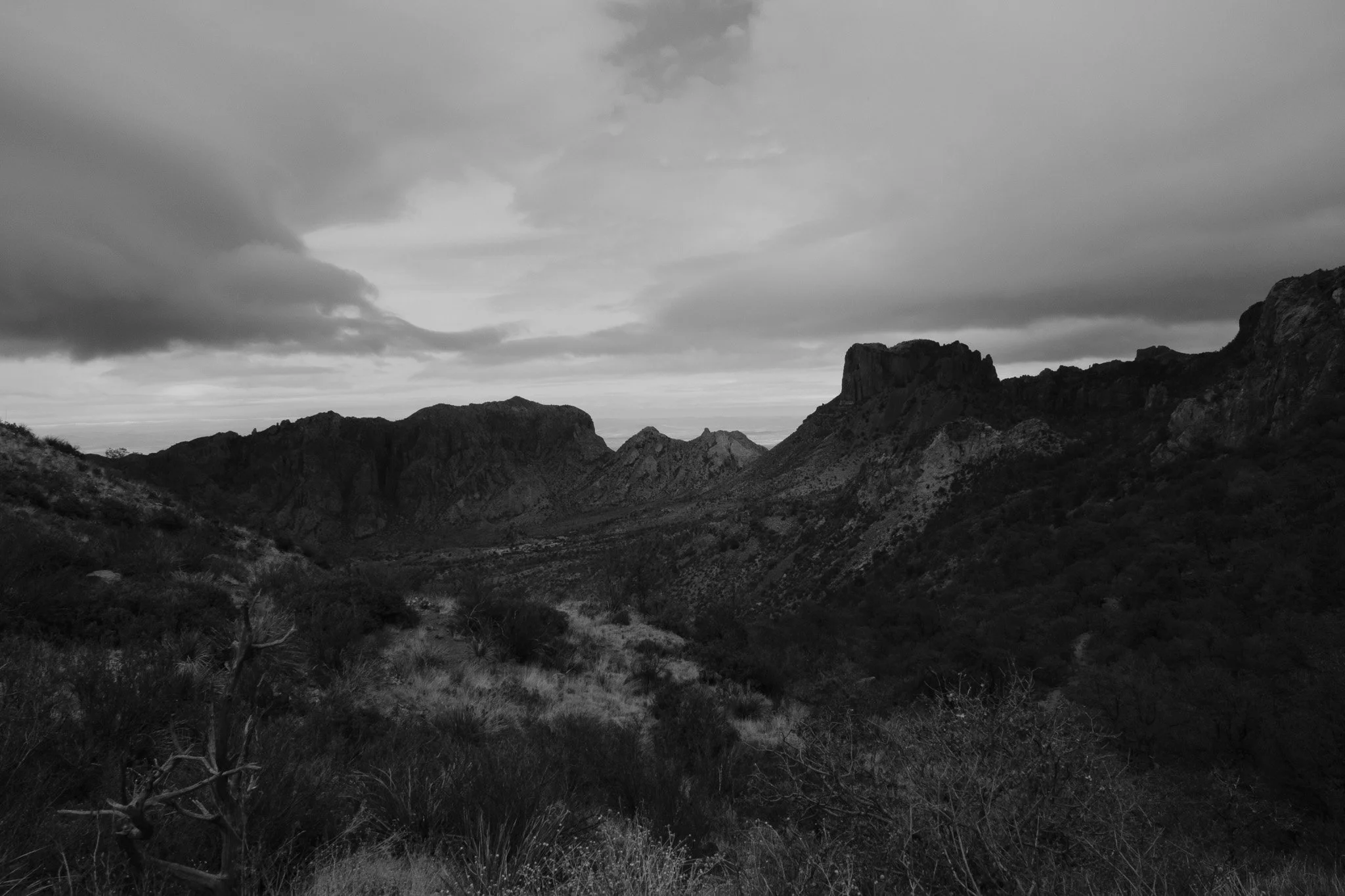 DSCF6982.jpg