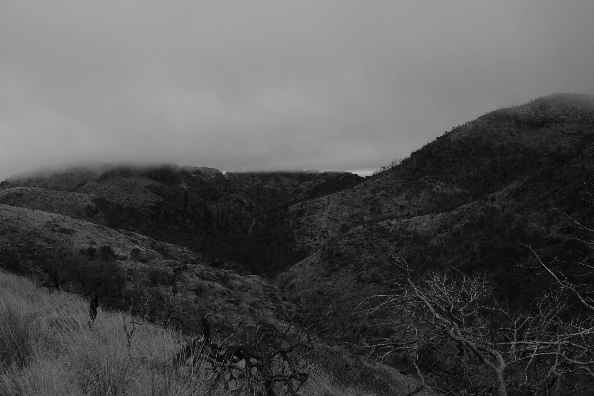 DSCF6942.jpg