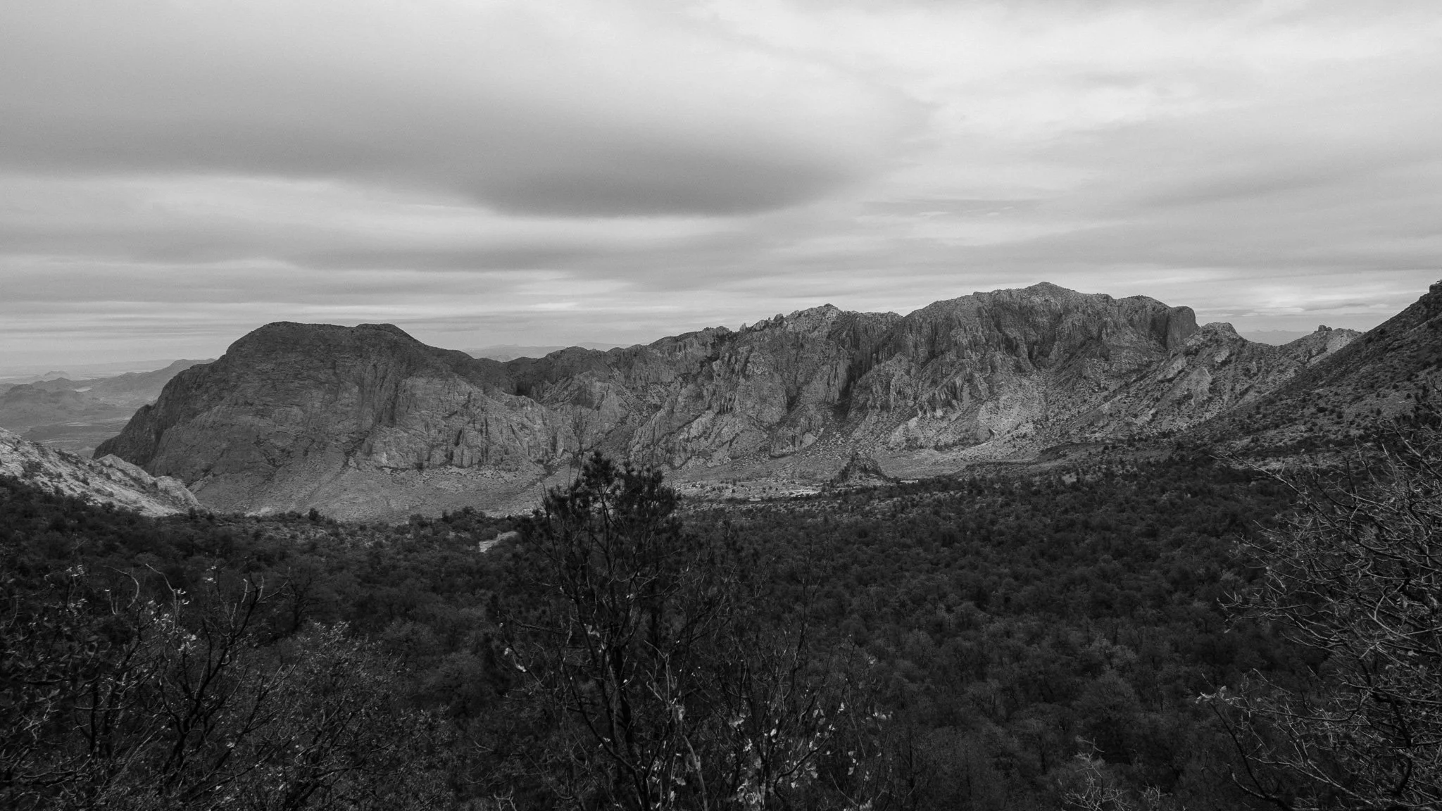 DSCF6551.jpg