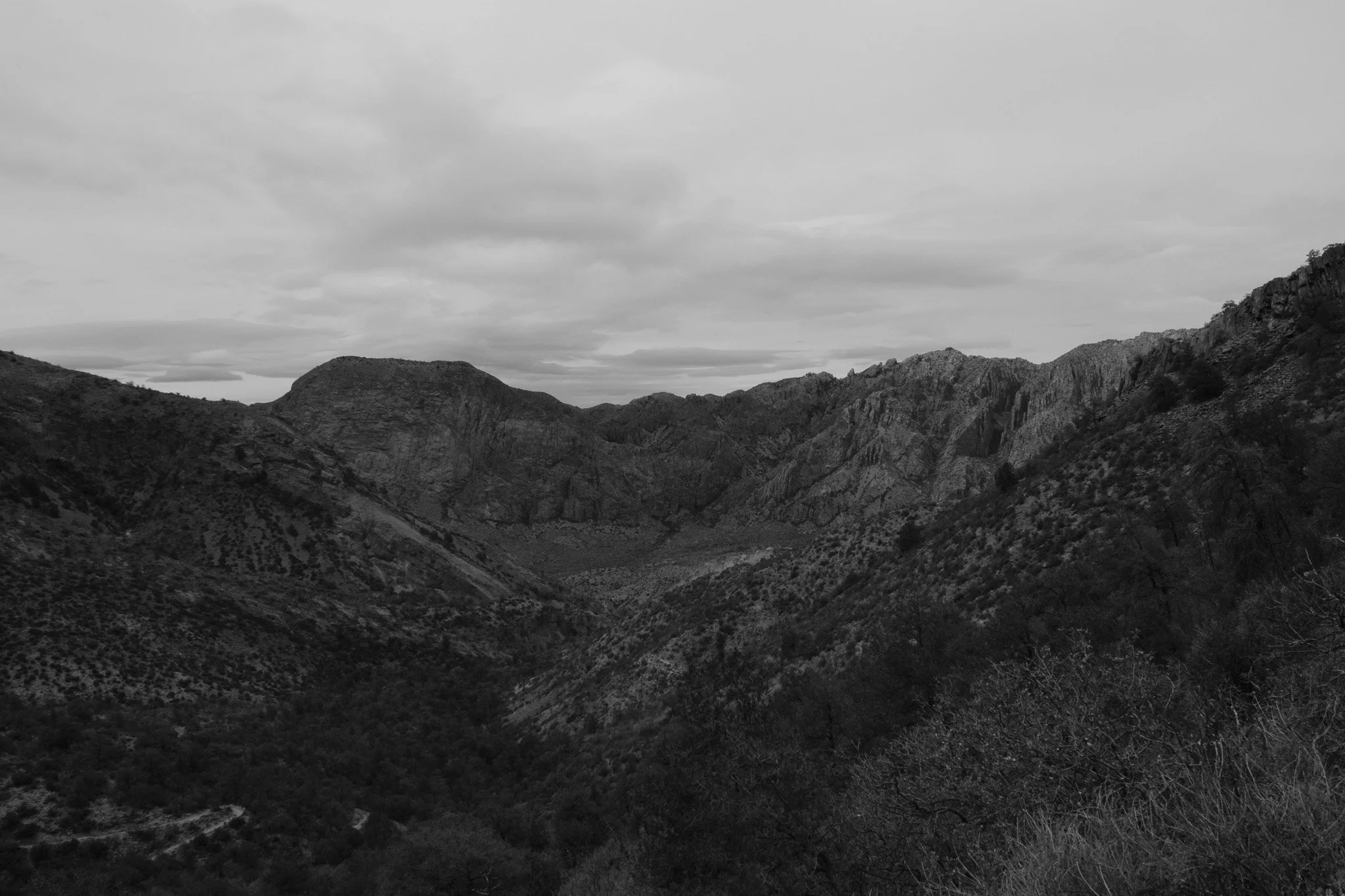 DSCF7007.jpg