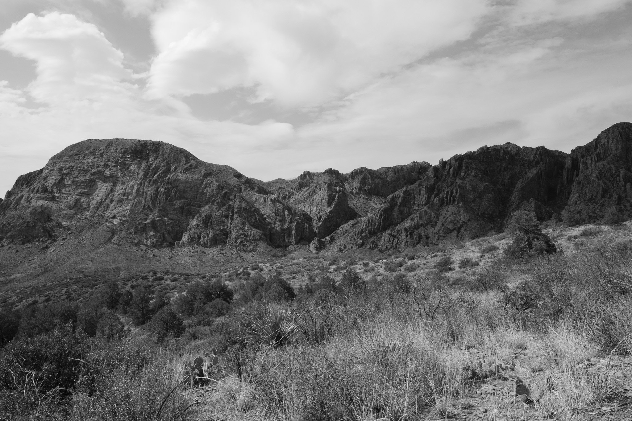 DSCF7080.jpg