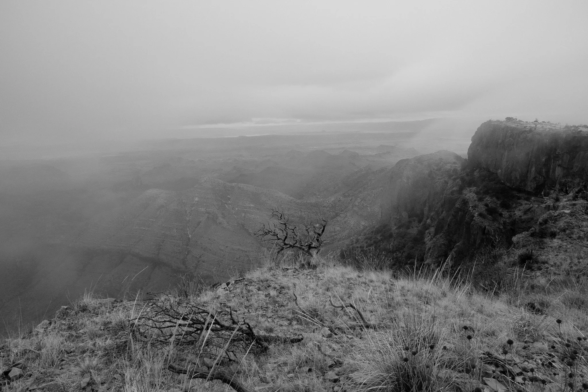 DSCF6919.jpg
