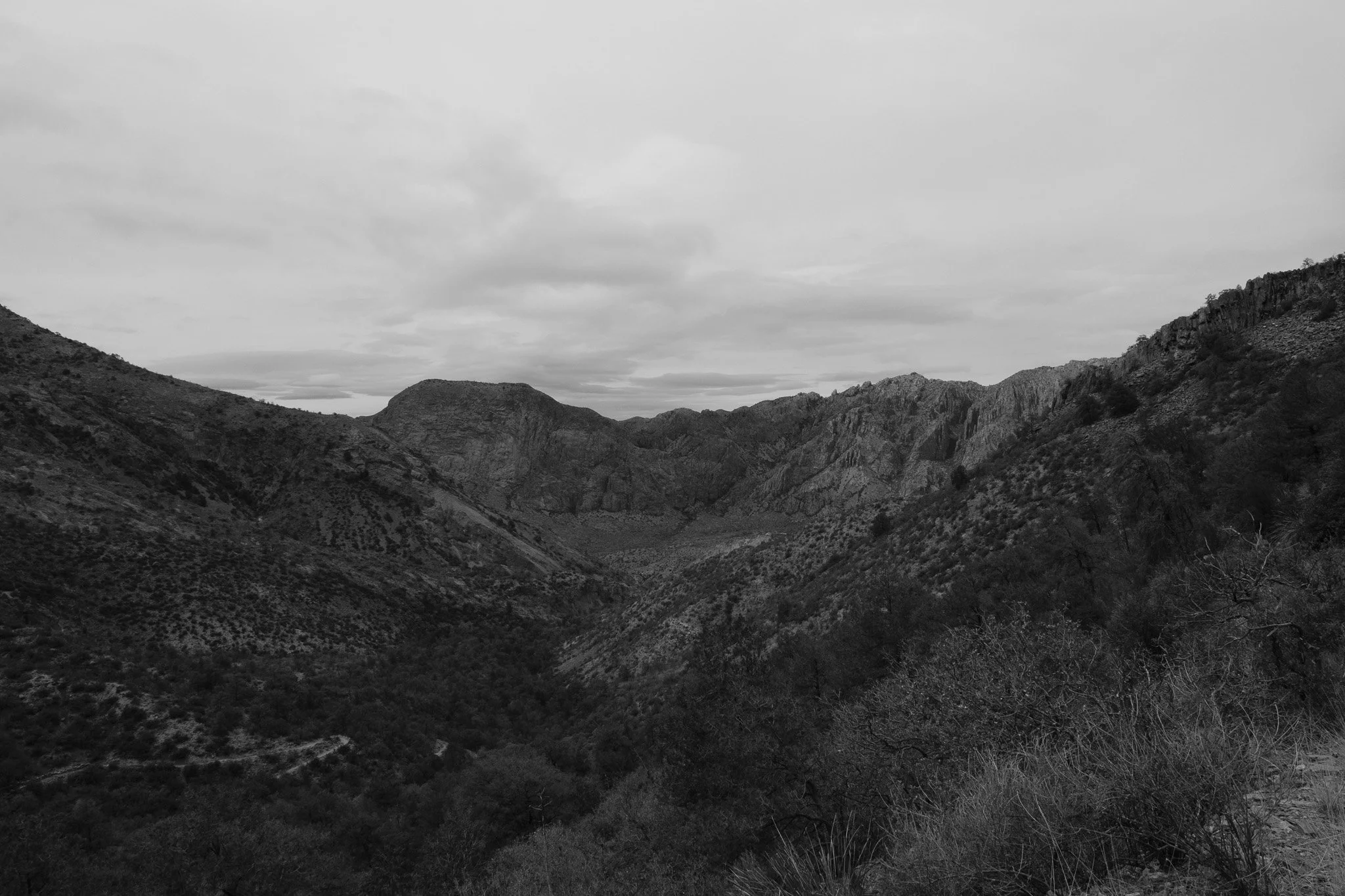 DSCF7003.jpg
