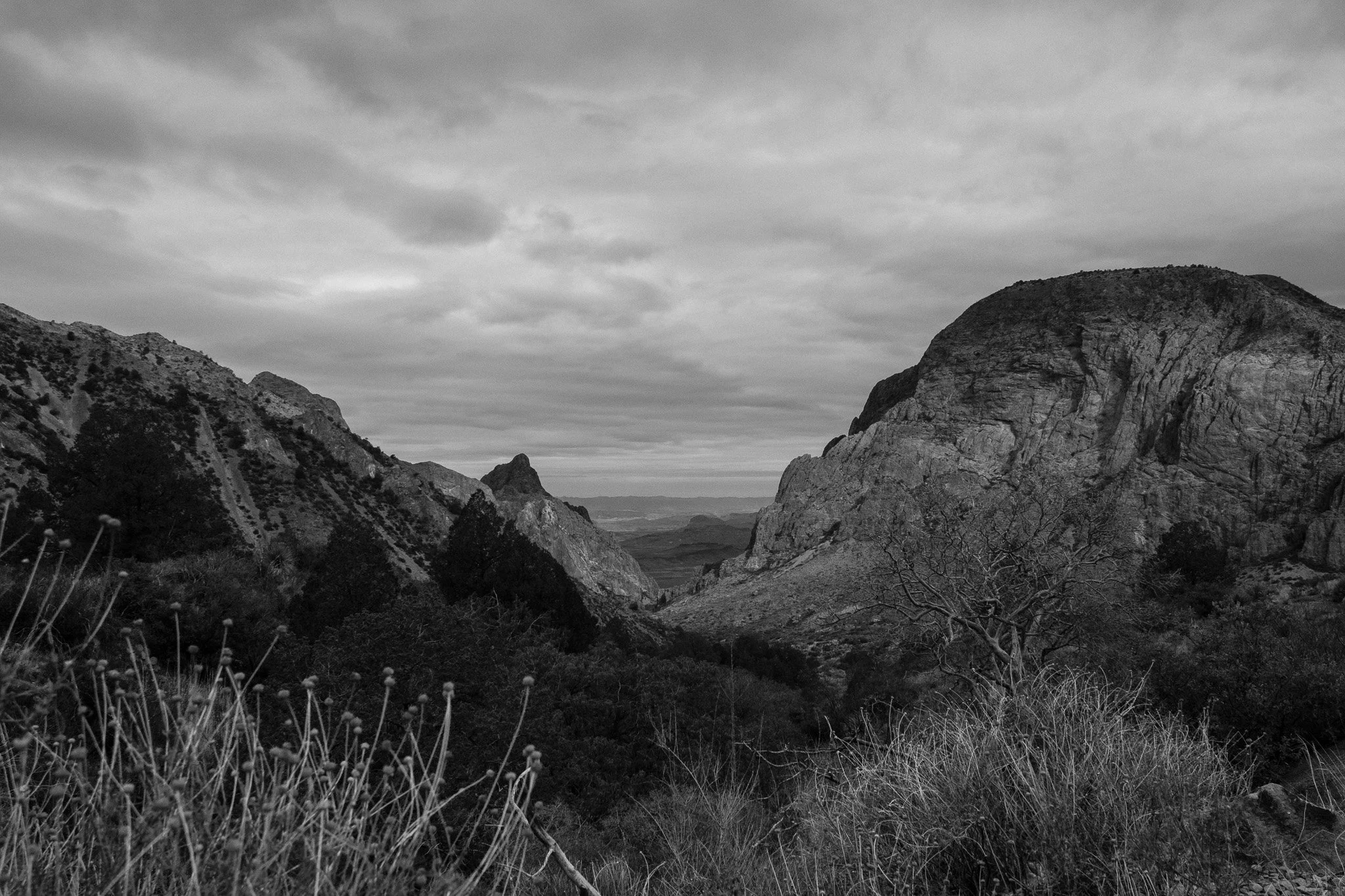 DSCF6523.jpg