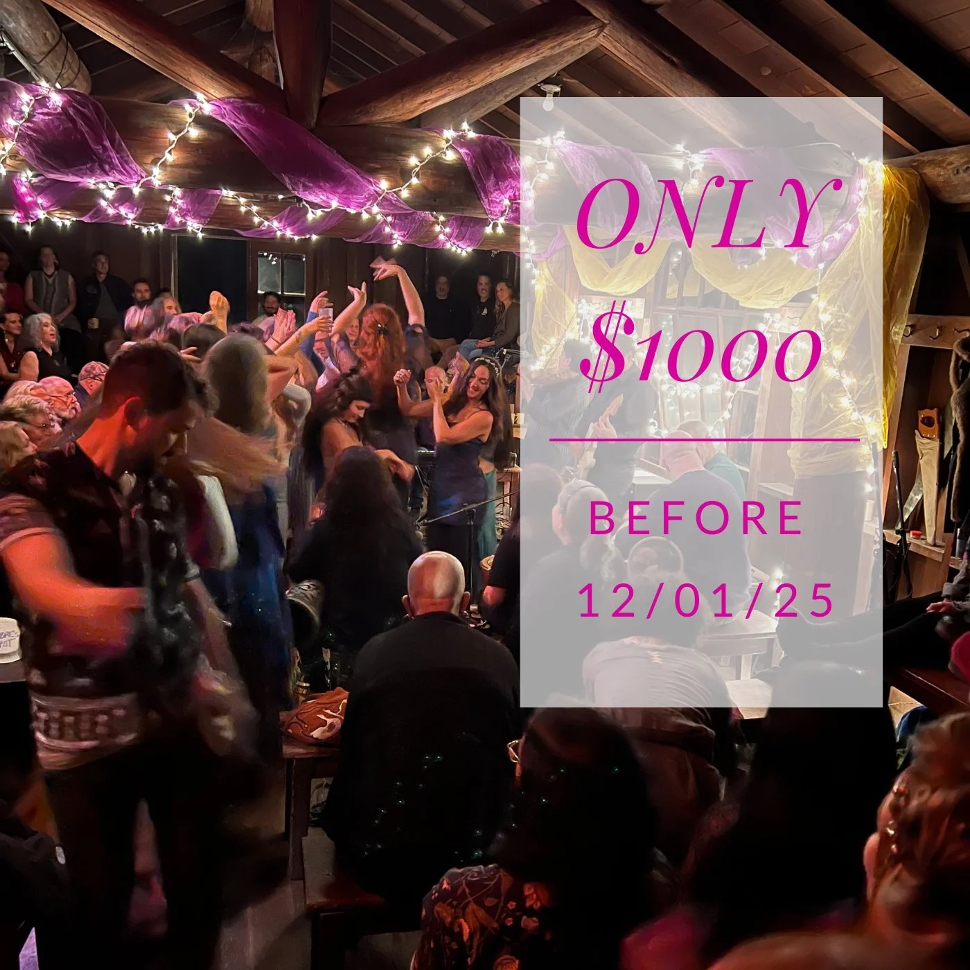 Black Friday Special