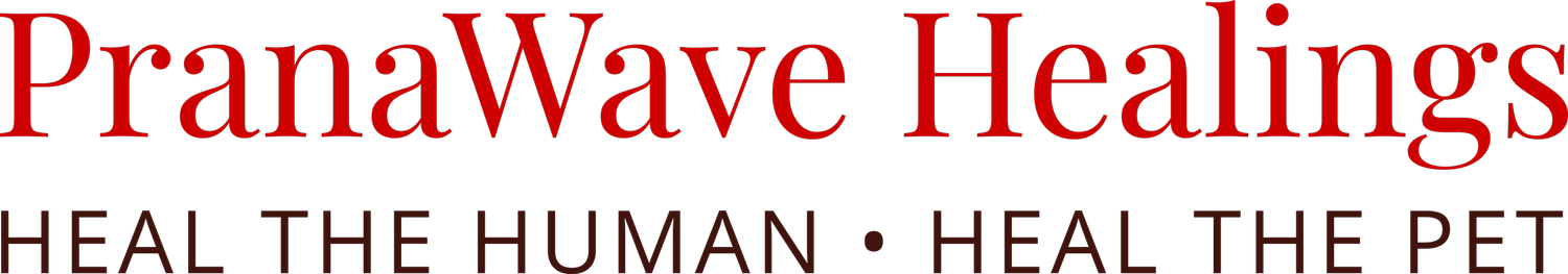 PranaWave Healings