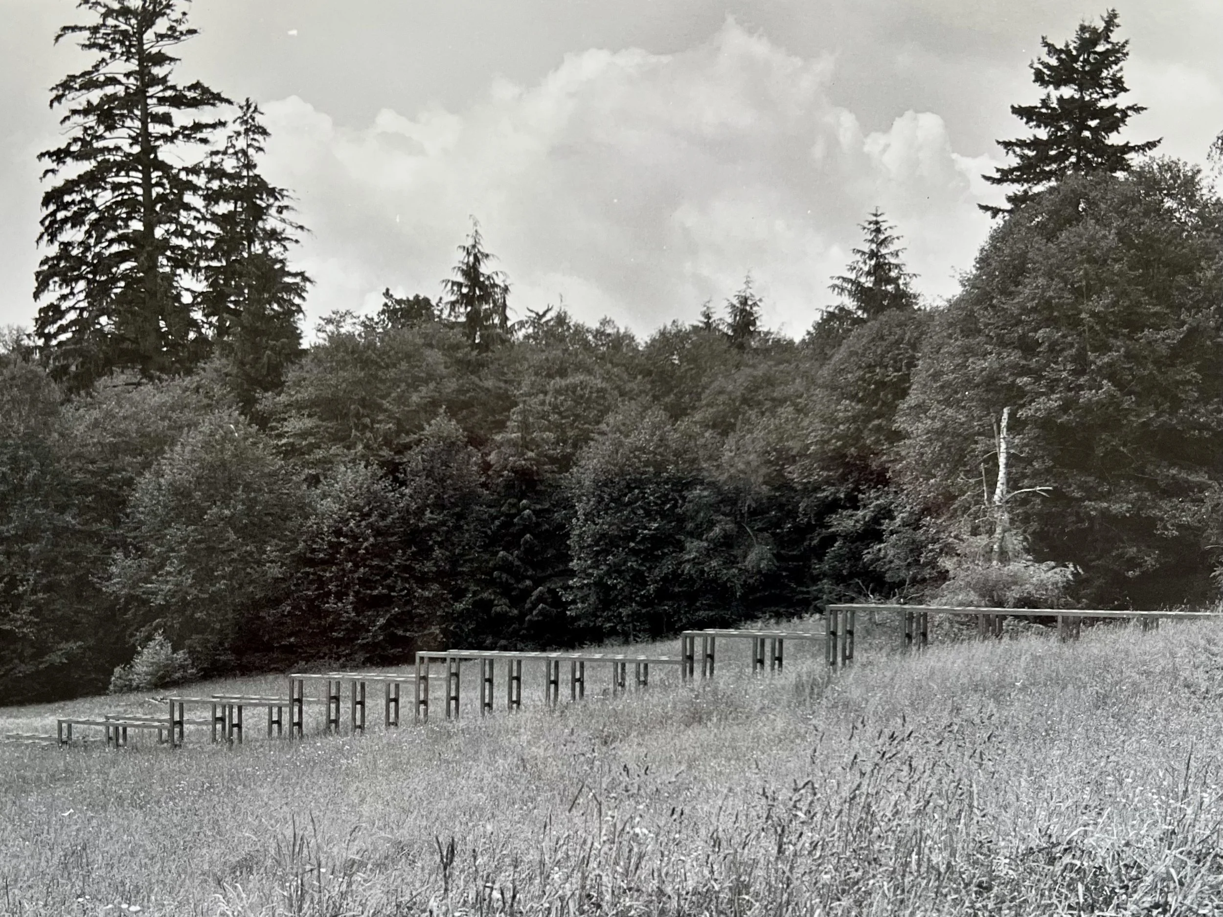 A black-and-white photograph of a forest landscape with tall pine trees and a partly cloudy sky. In the foreground, there are empty benches arranged in rows on a grassy area, with a fence on the right side.