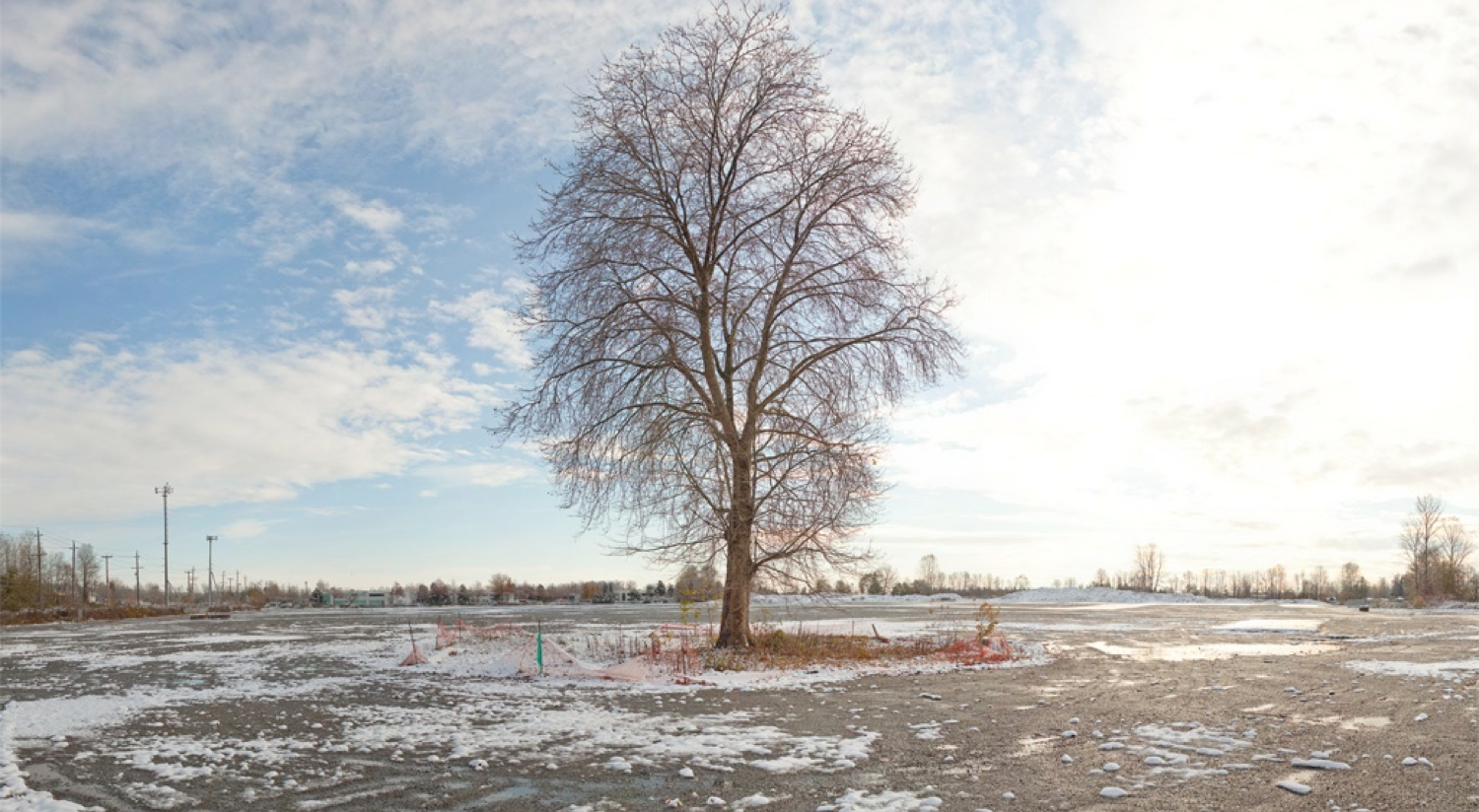 A leafless tree standing in a snowy, open landscape under a partly cloudy sky.