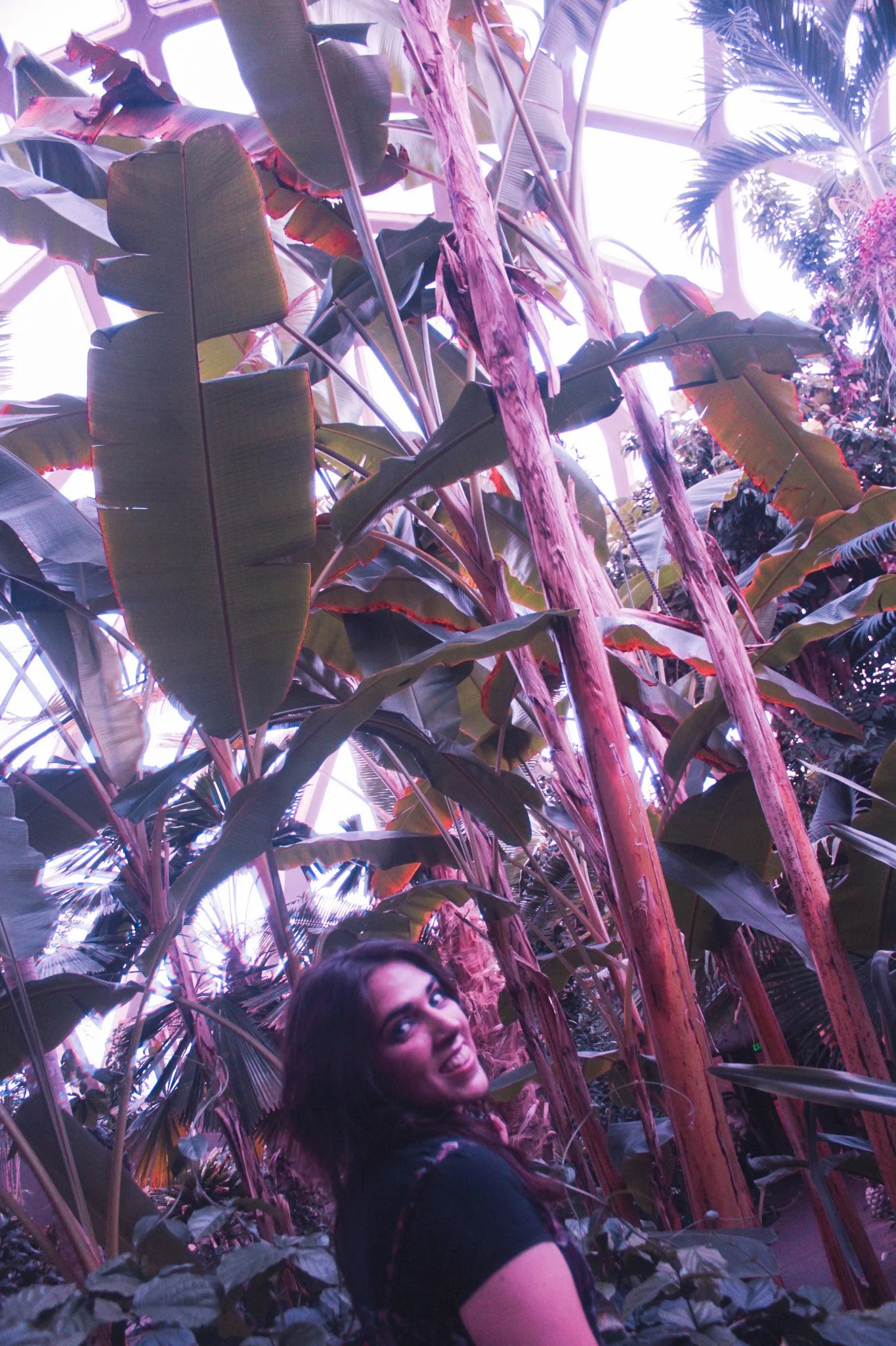 Emma stands next to bamboo in the greenhouse.
