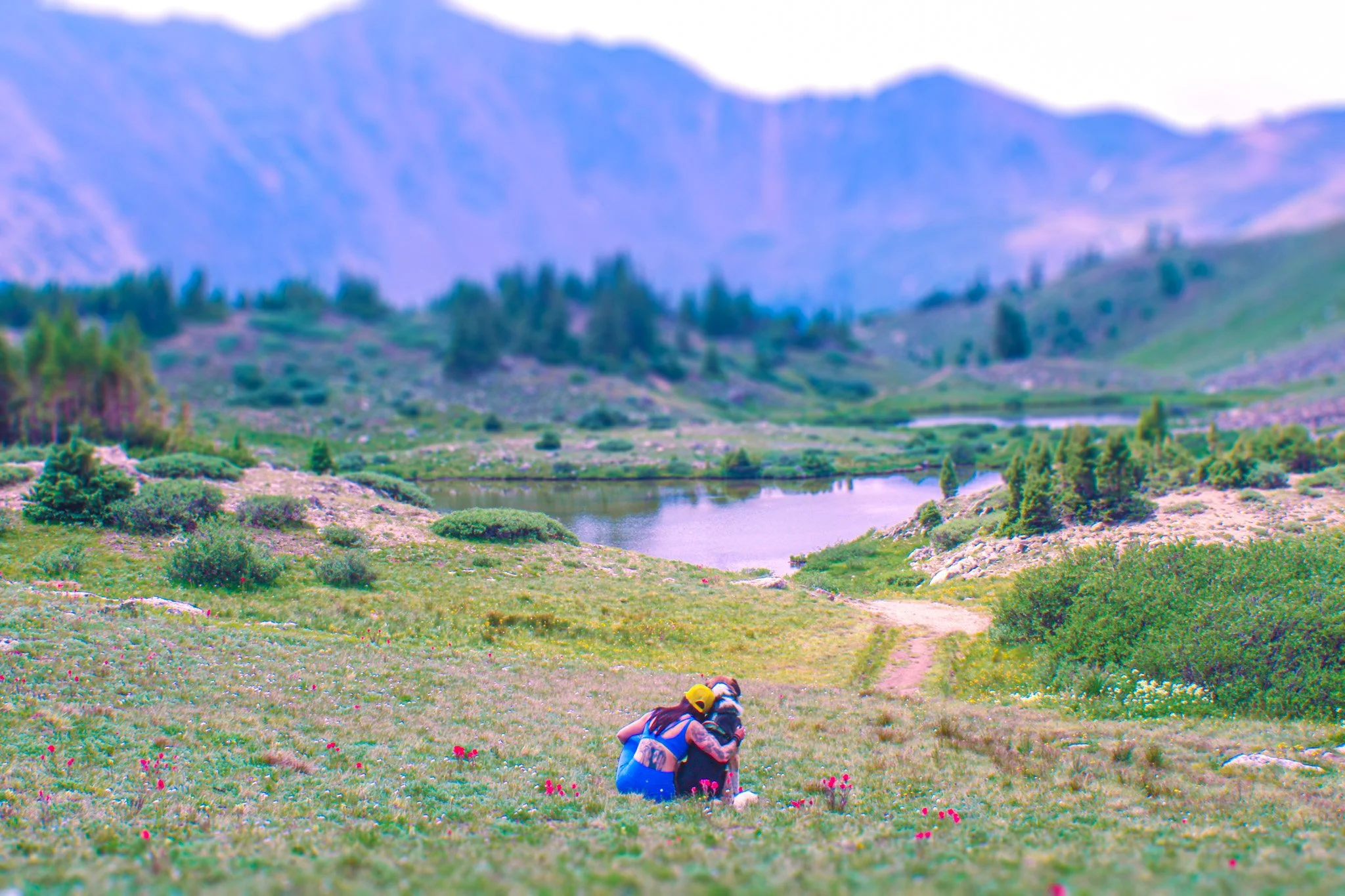 Kate Davis sits with her dog in a field, admiring the mountain range.