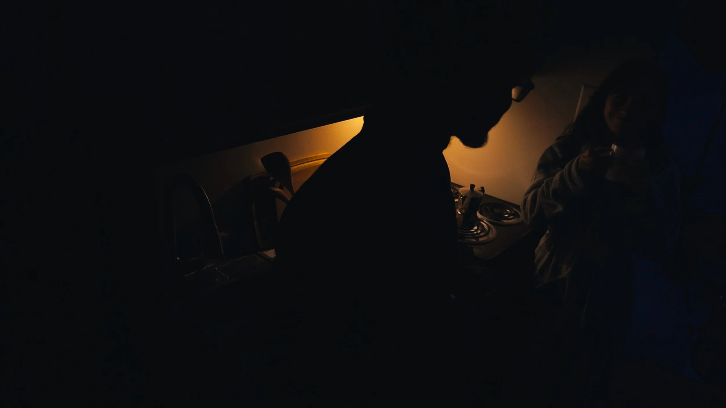 Silhouettes of two people in a dimly lit kitchen, one at the stove and the other holding a spoon, with a warm light illuminating the background.