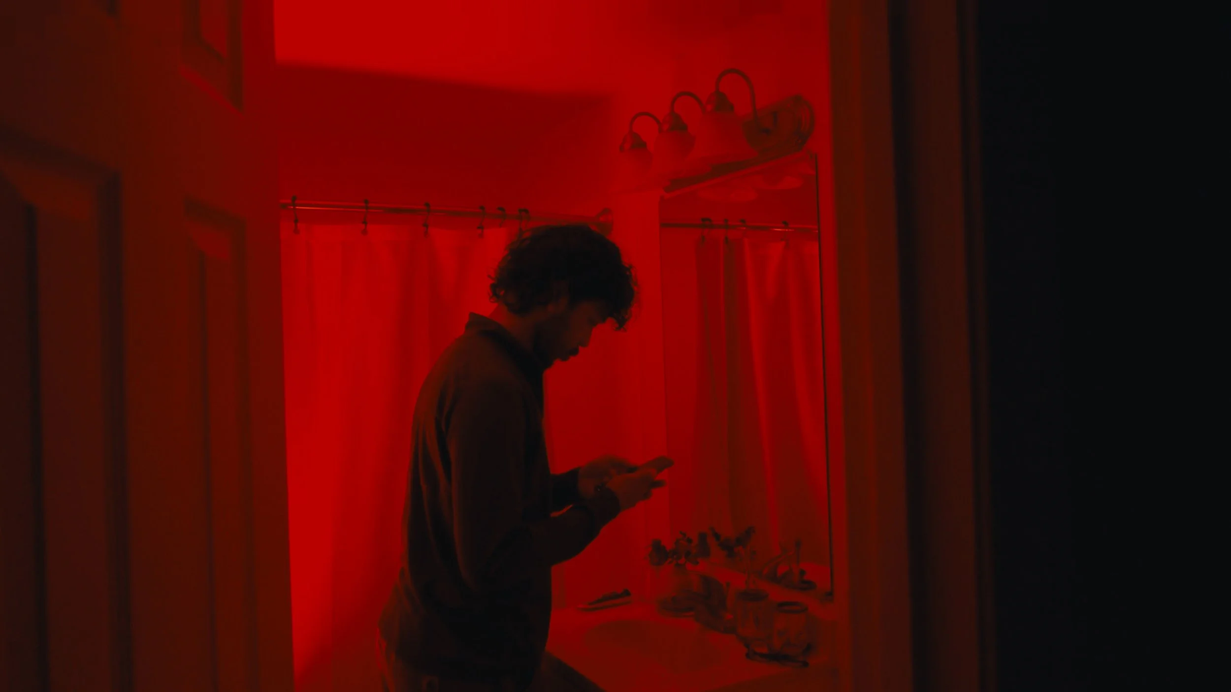 Person standing in a room bathed in red light, looking at their phone with a table of plants and a mirror in the background.