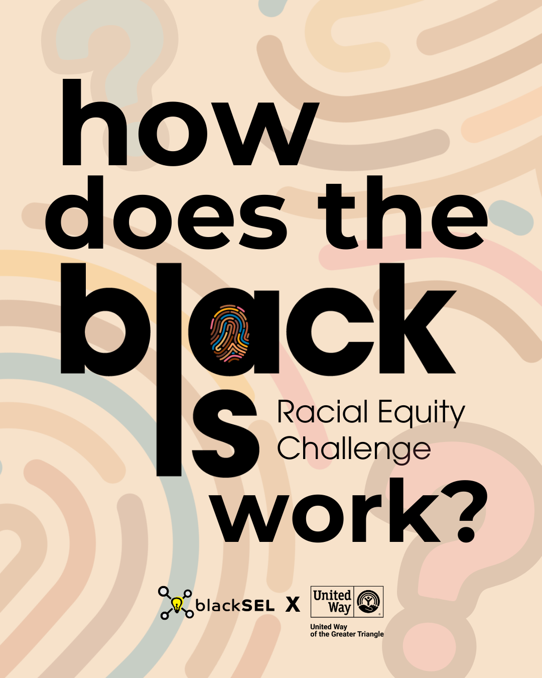Designed a series of Instagram carousels and slider graphics for Black SEL’s Racial Equity Challenge, a multi-week digital learning experience focused on reflection, education, and action around racial equity. 