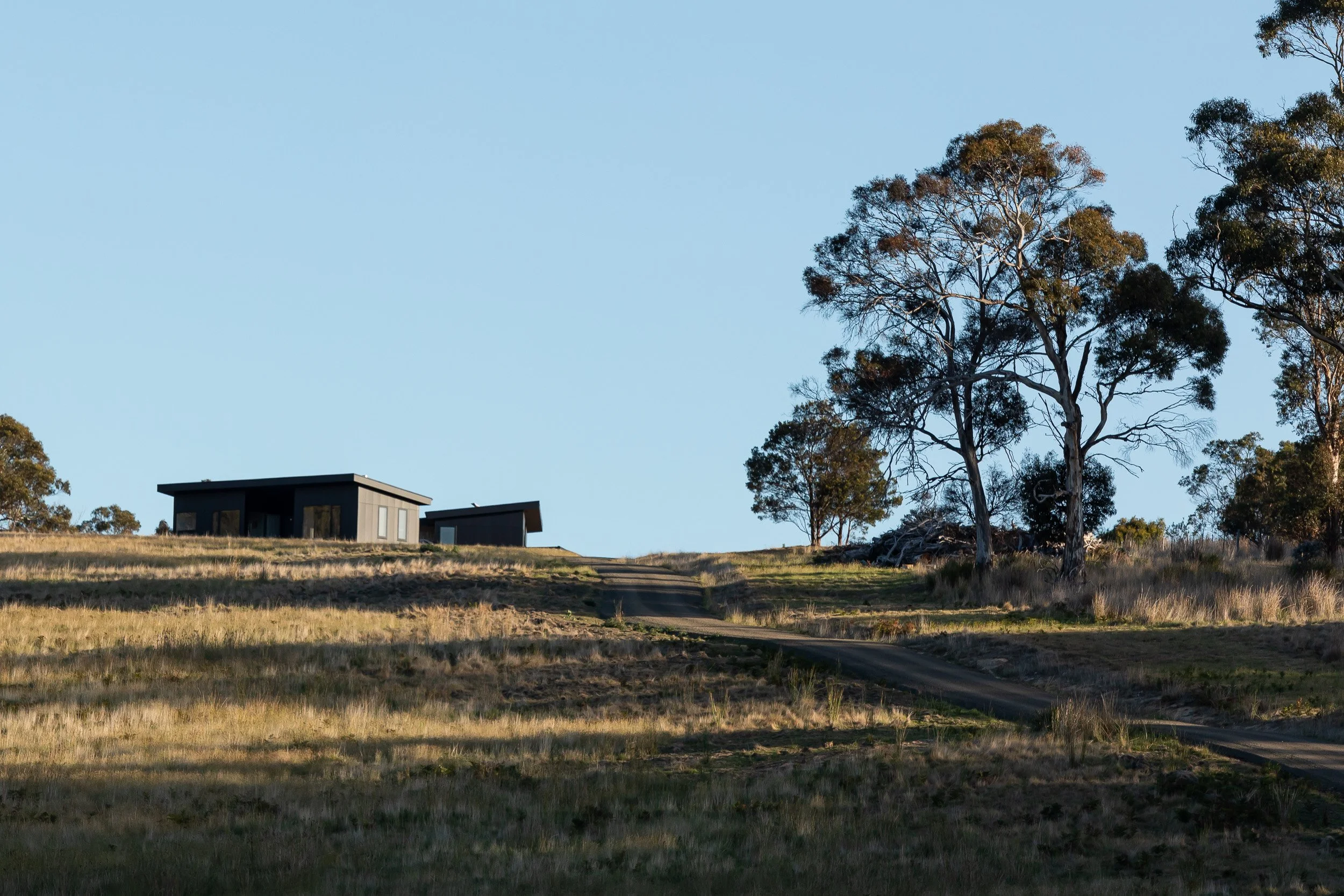 Carlton River Airbnb's dark-clad building on a hillside at dusk, beside a gum tree and gravel drive