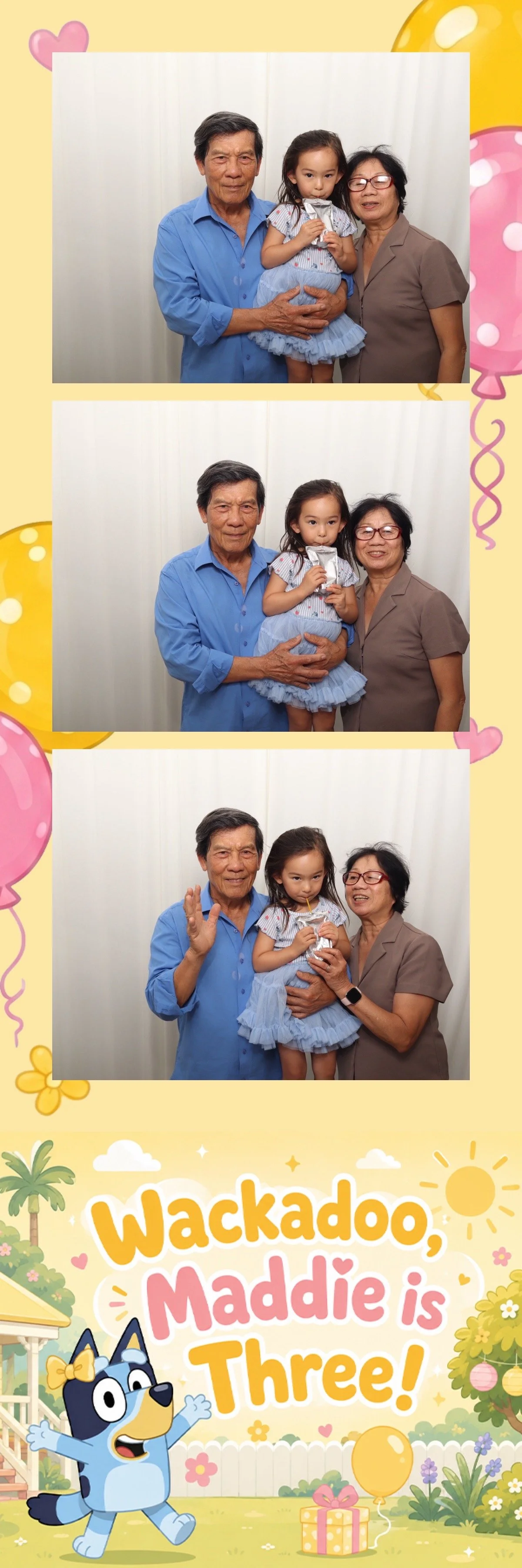Maddies_3rd_Birthday_0097_photo.jpeg