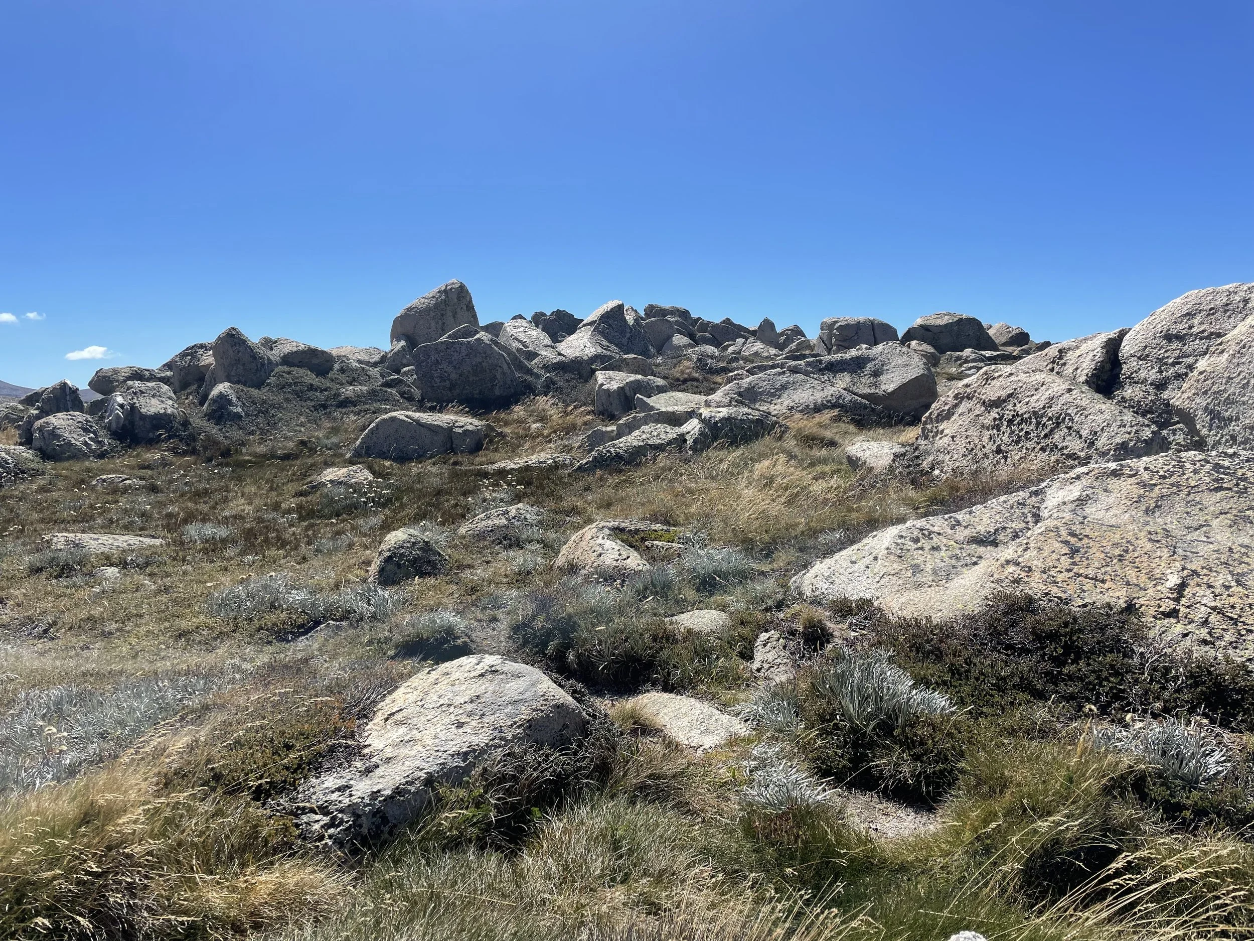 A rocky hillside with large boulders and grass under a clear blue sky.