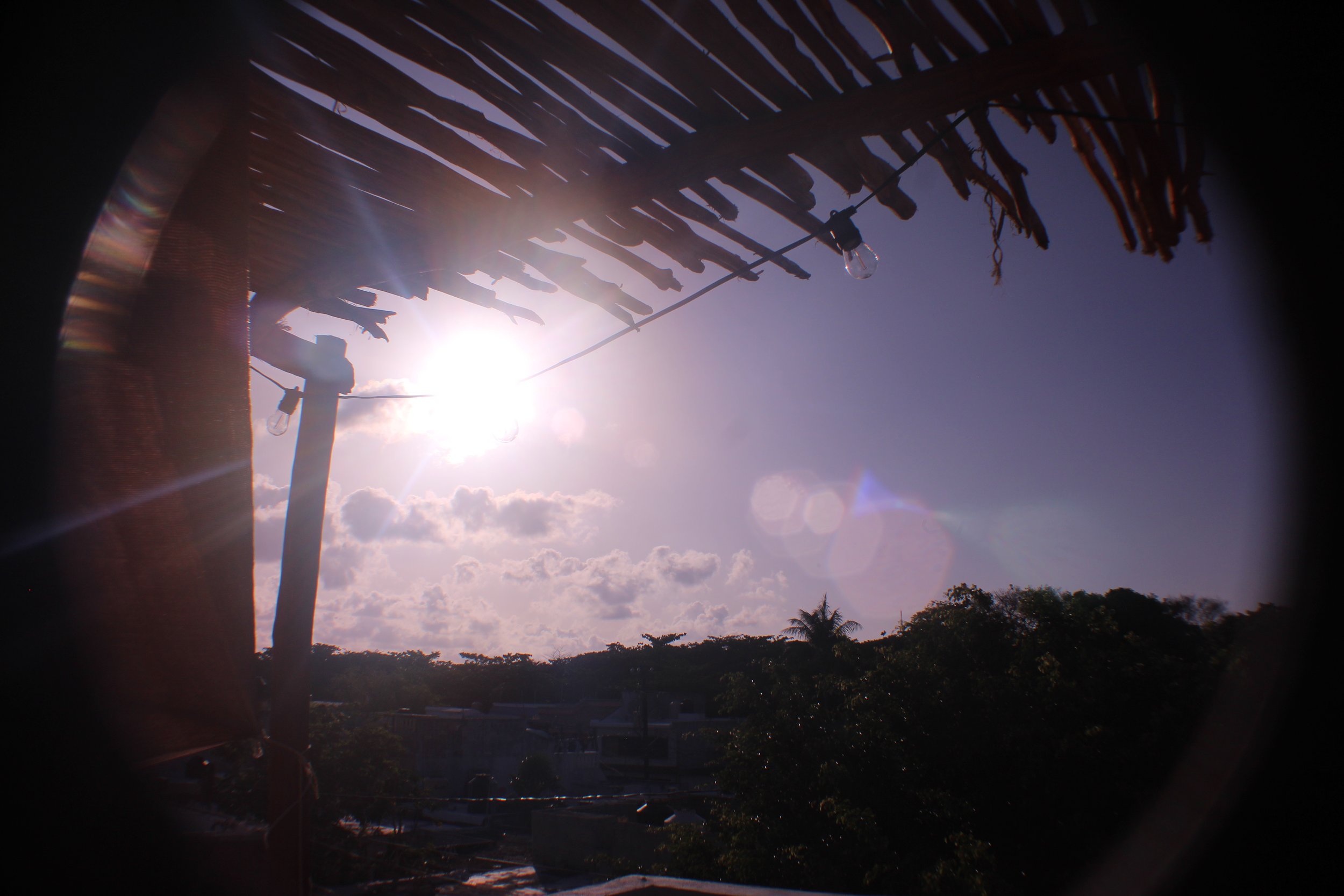 IMG_0442.jpeg