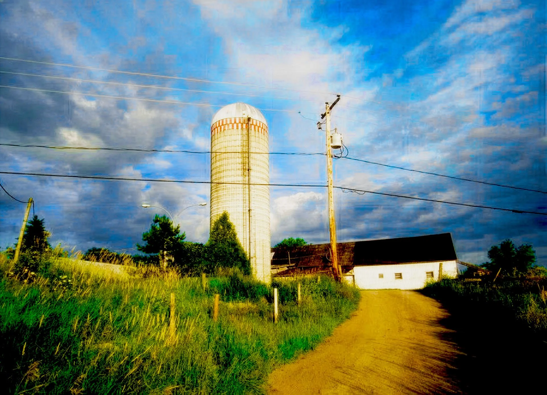 farm road.jpeg