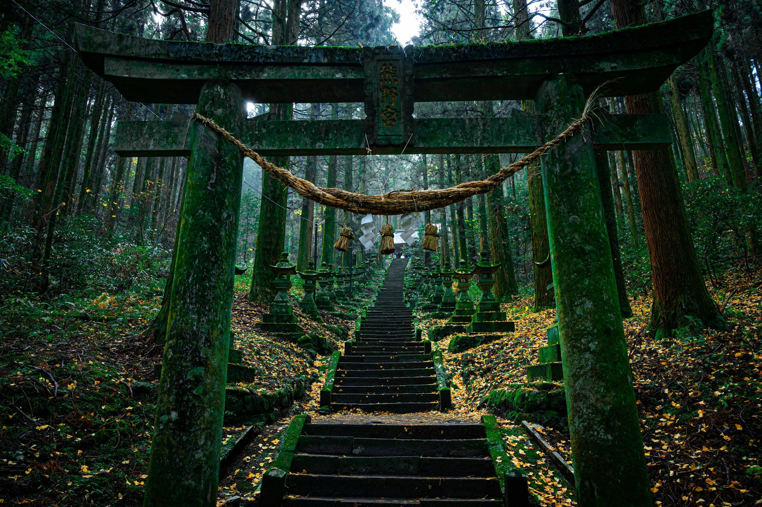 A moss-covered torii gate in a forest with moss-covered steps and lanterns leading up a mountain trail.