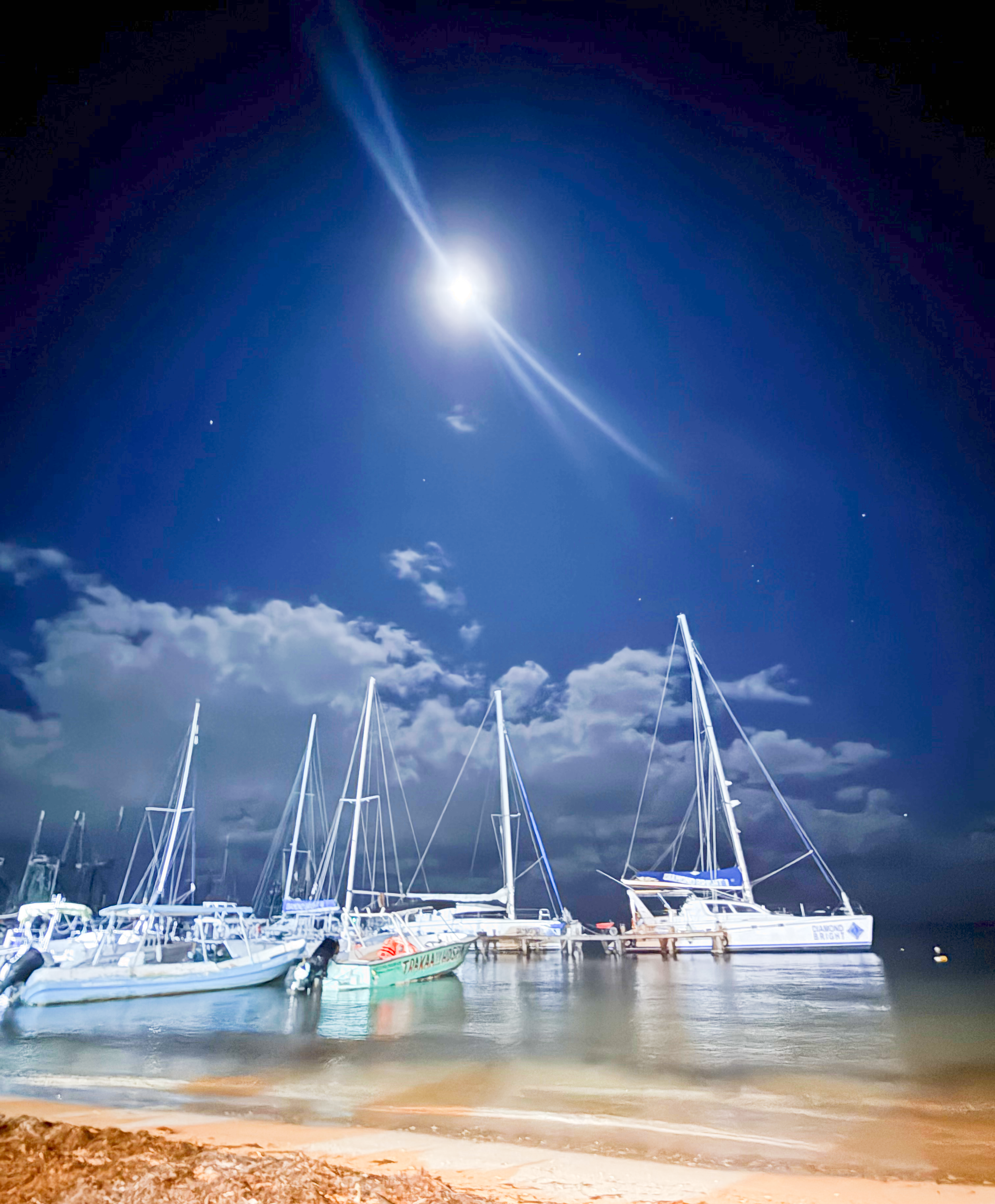 edited-photo (2).png