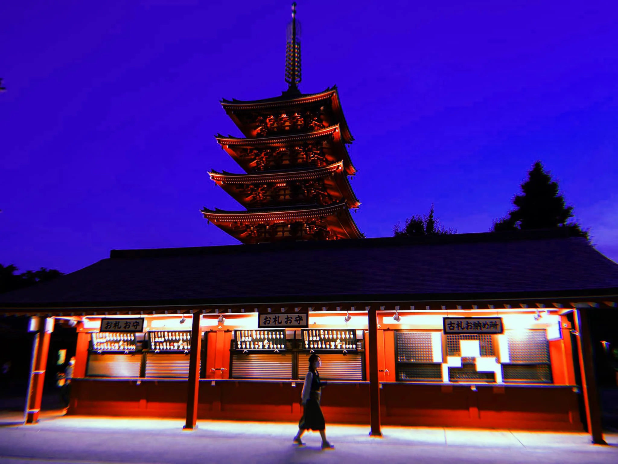 japan lady.jpeg