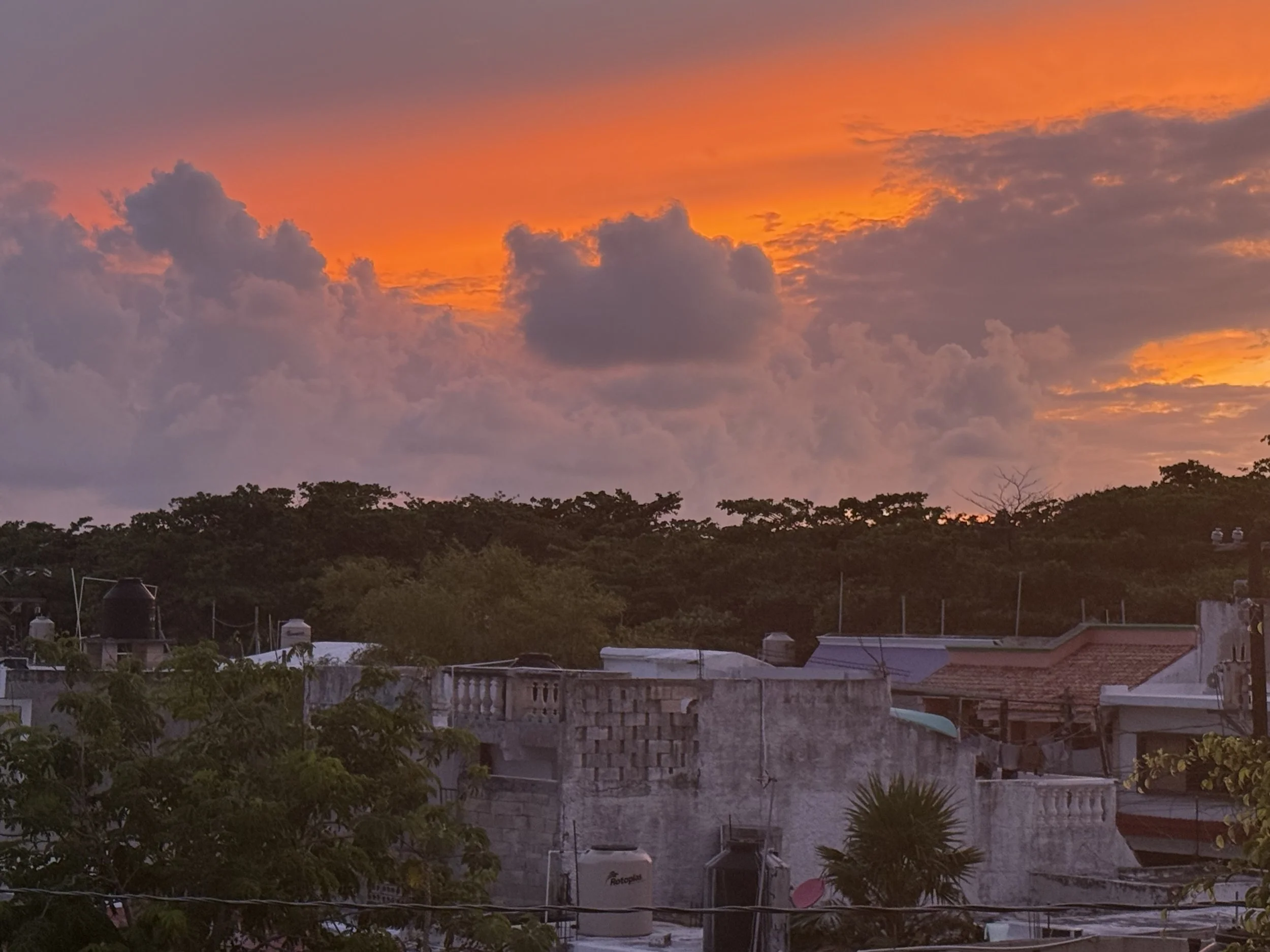 A sunset sky with orange and purple clouds over a residential neighborhood with trees and rooftops.