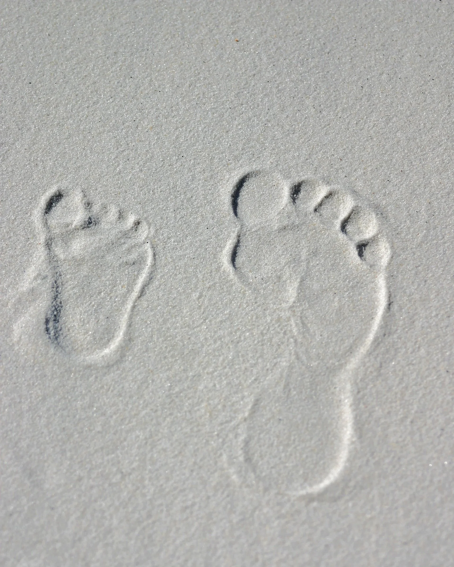 Footprints in the sand — Barefoot Photography brand symbol