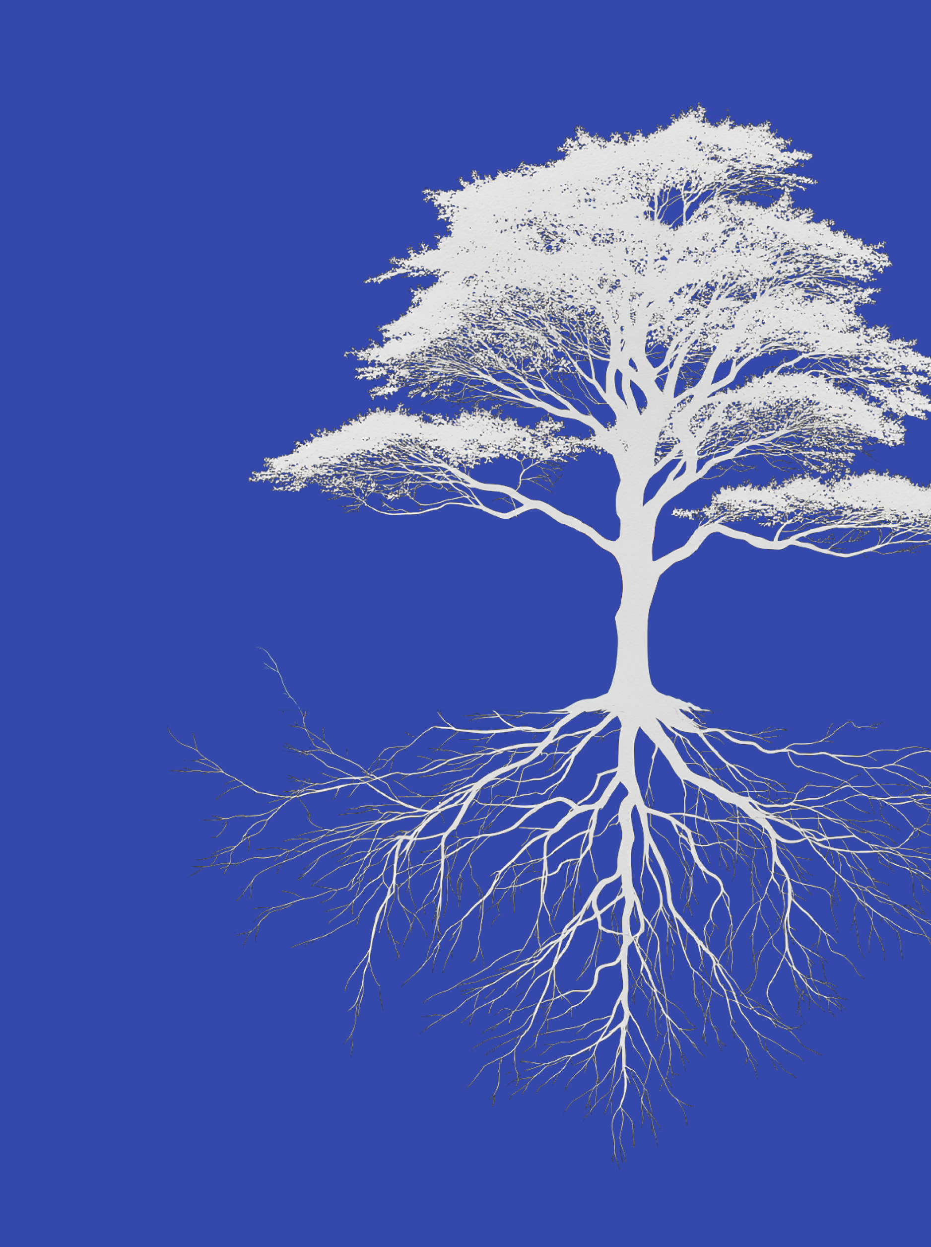 A white tree with detailed branches and roots against a solid blue background.
