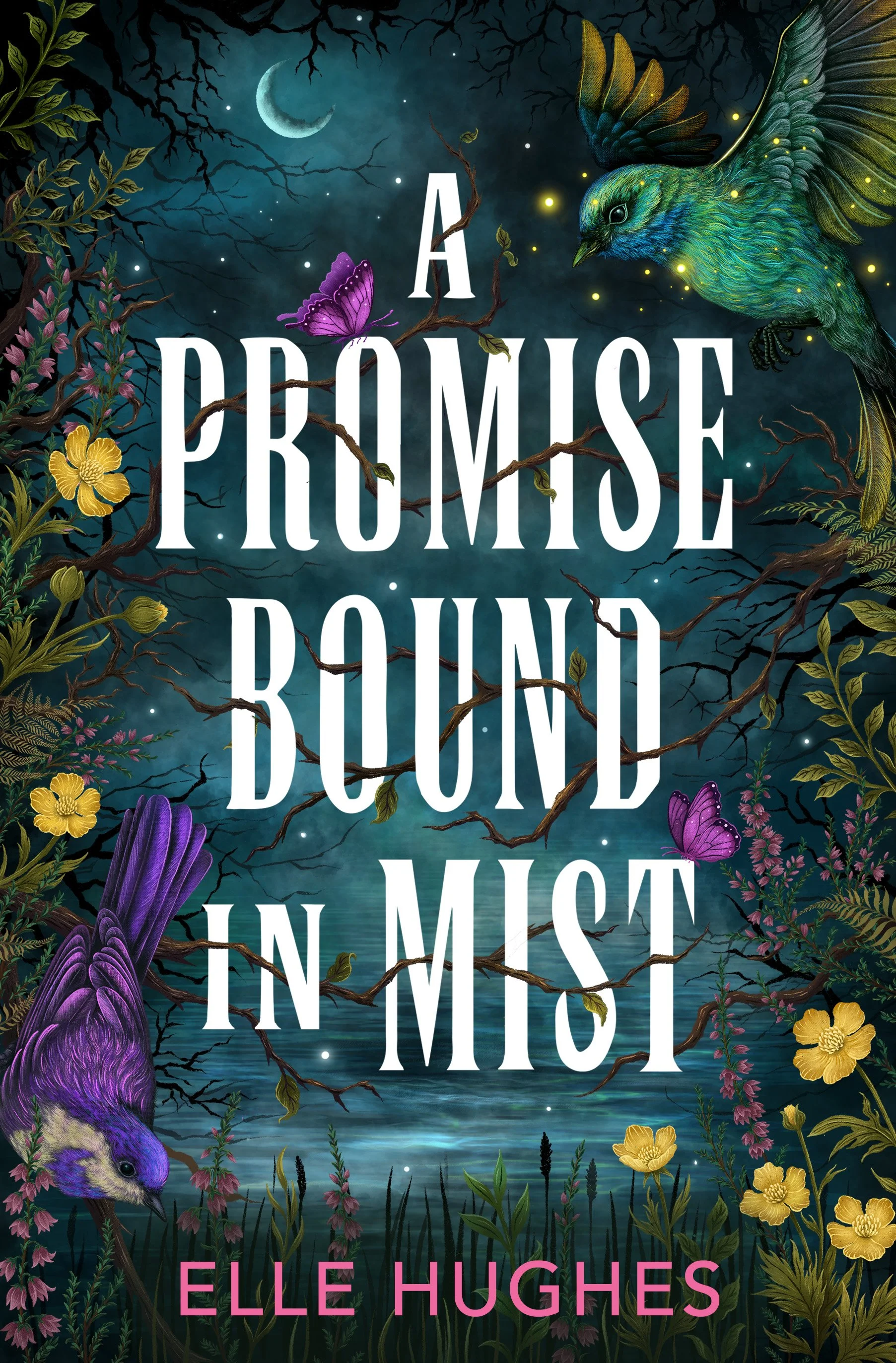 A Promise bound in Mist.jpg