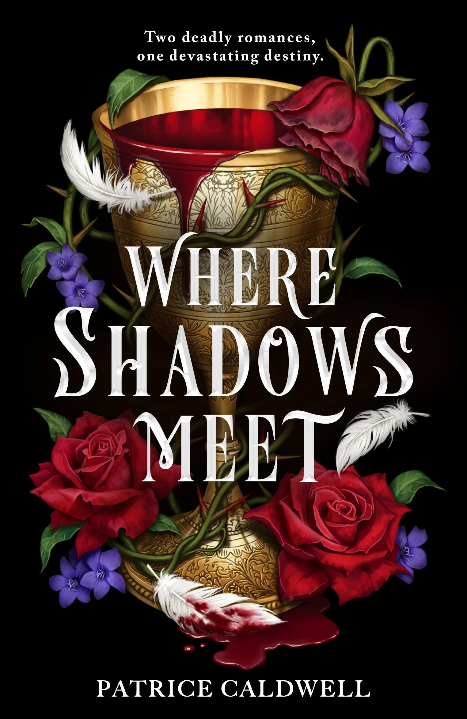 Where Shadows Meet_full cover_foil visual.jpg