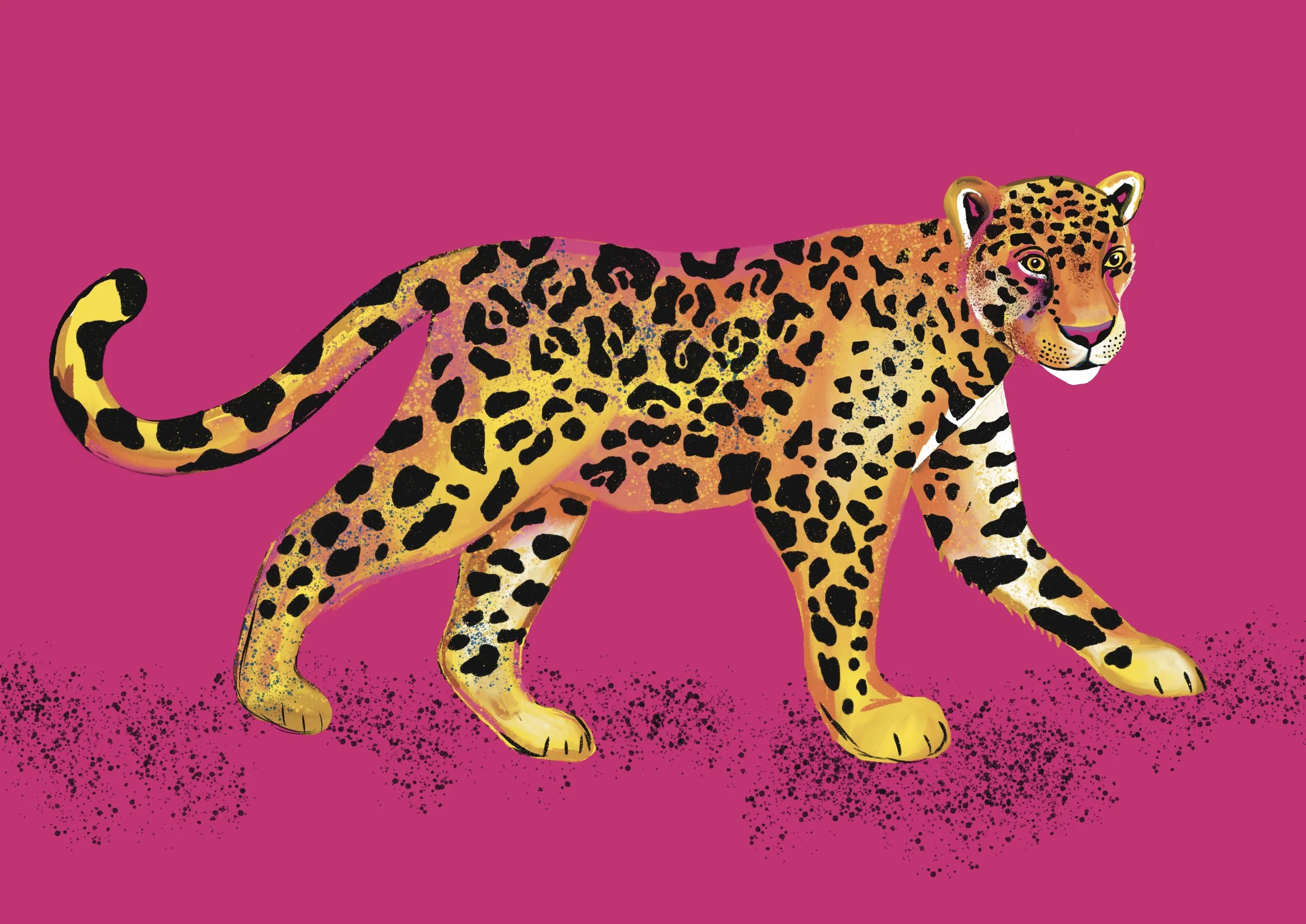 Leopard.jpg