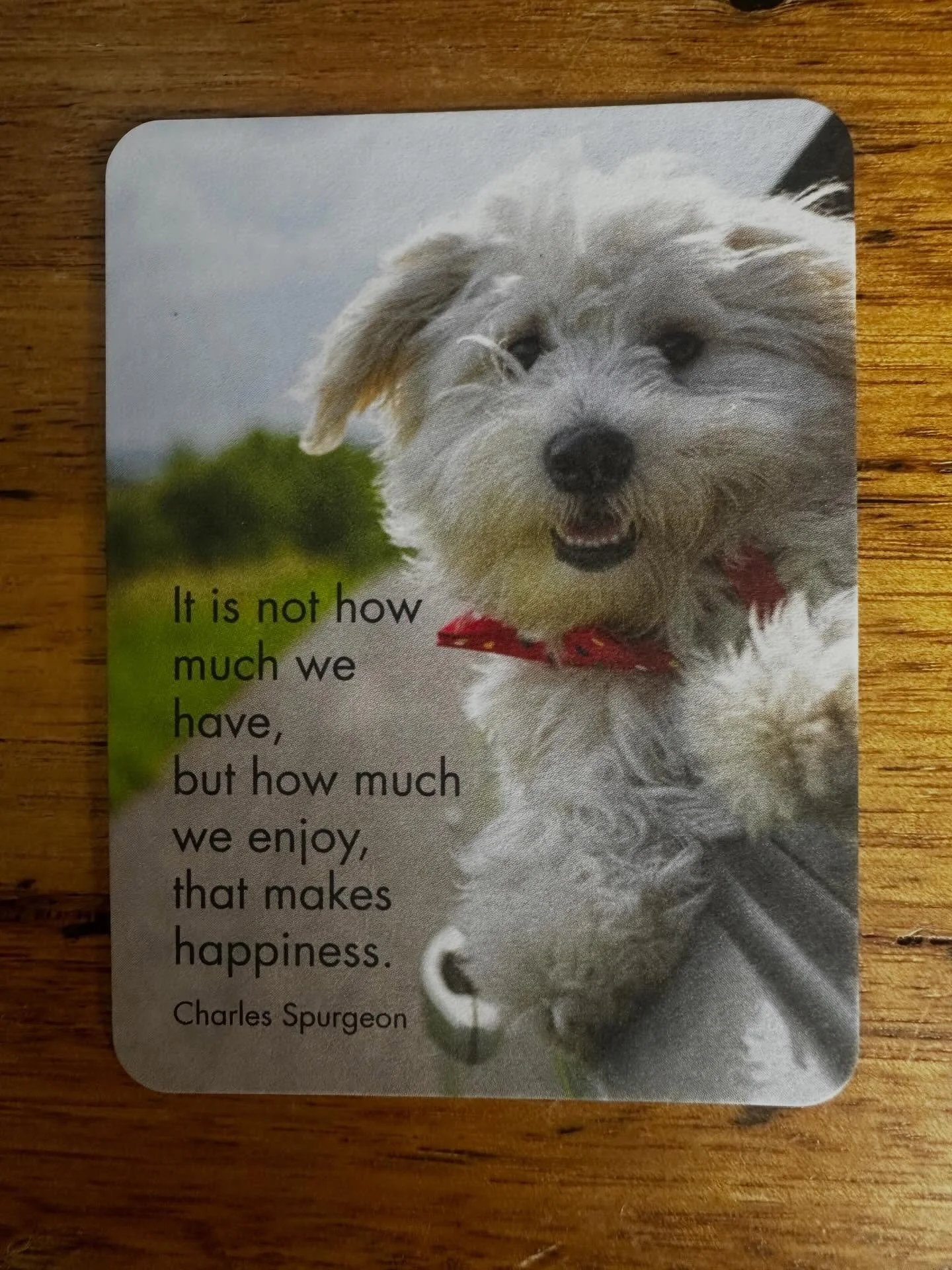 We&rsquo;re off on a quick holiday, hitting the road. Back to the farm Tuesday 28 April!