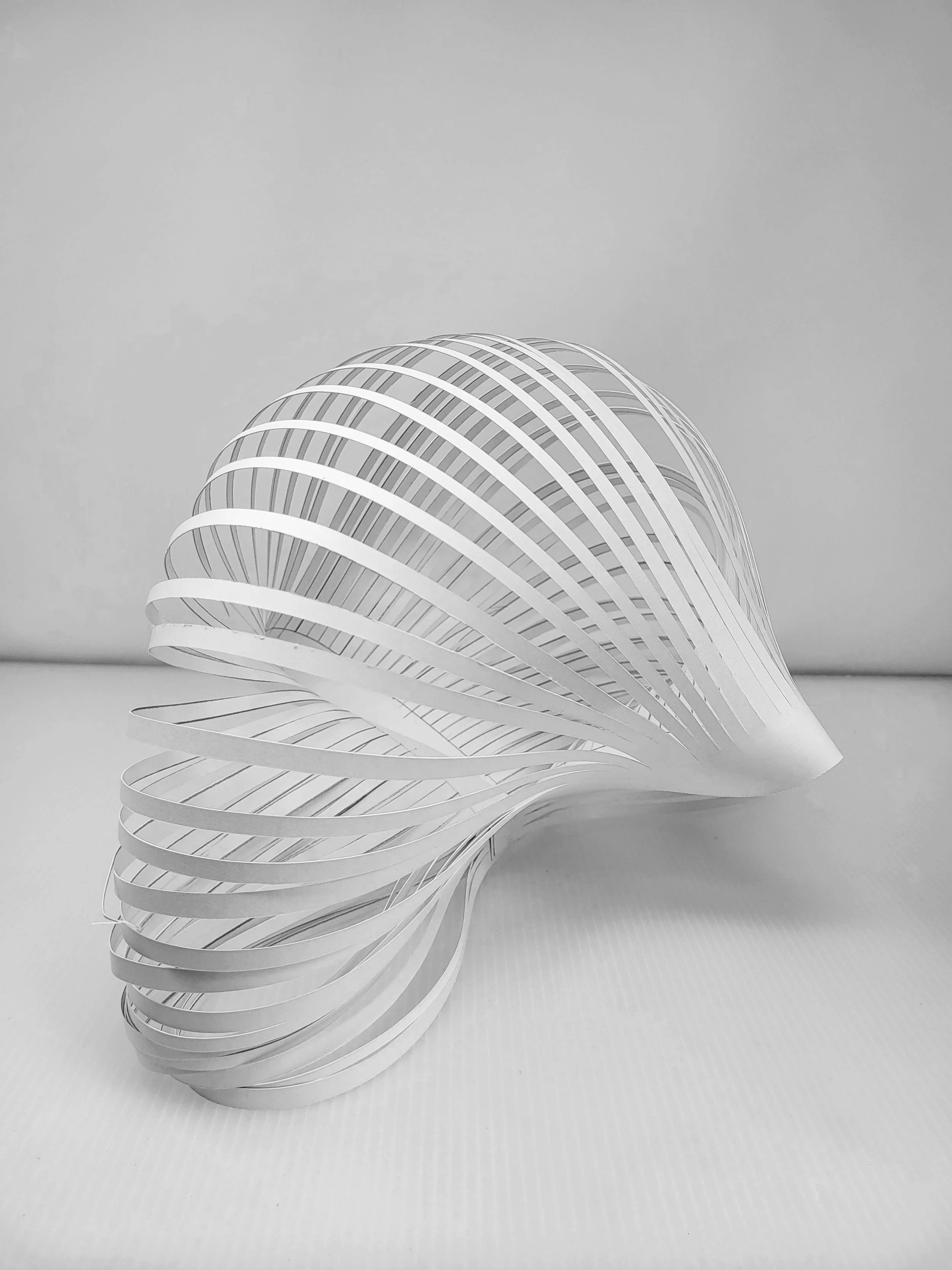 20250918_125207.jpg