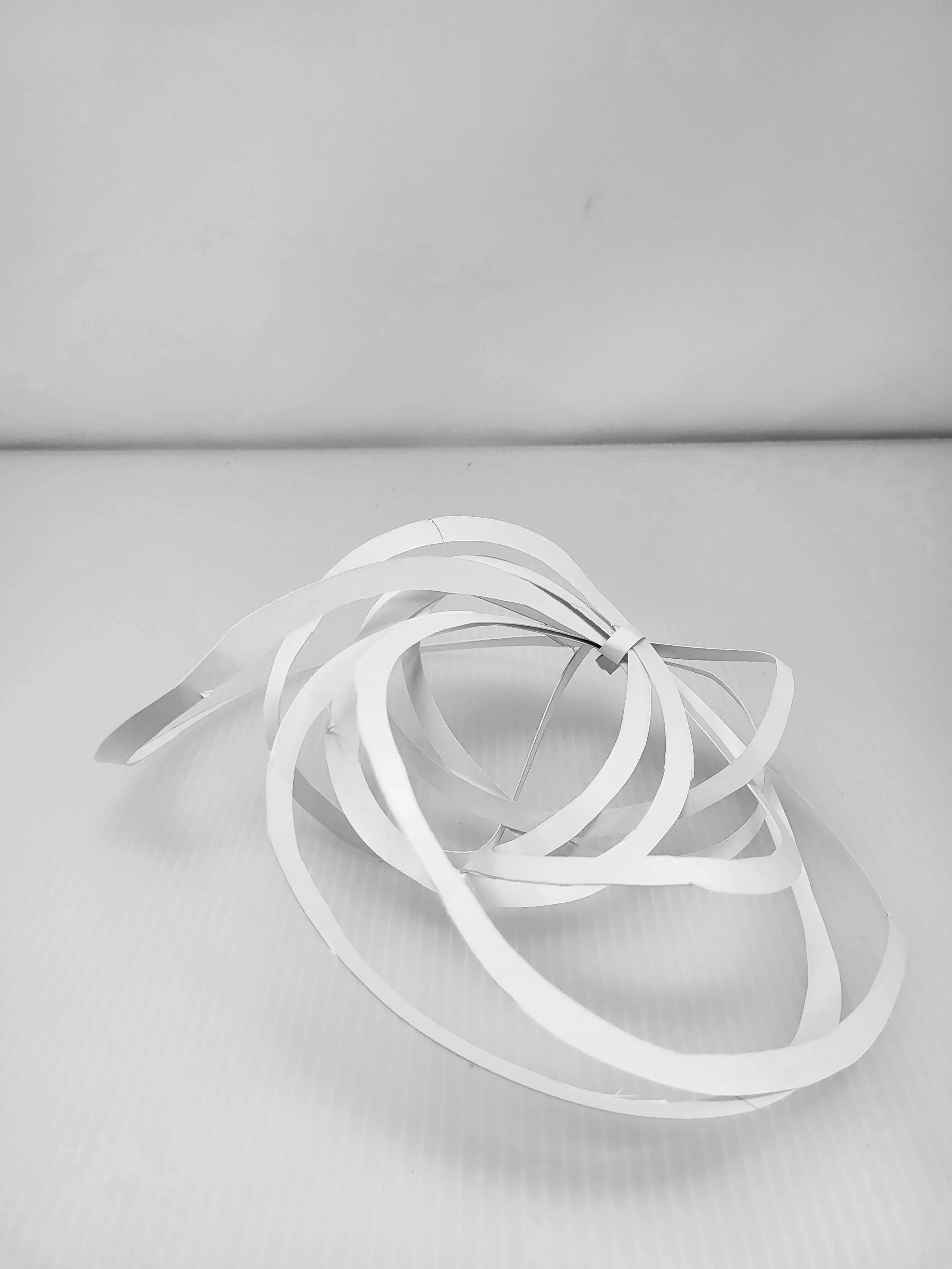 20250918_125232.jpg
