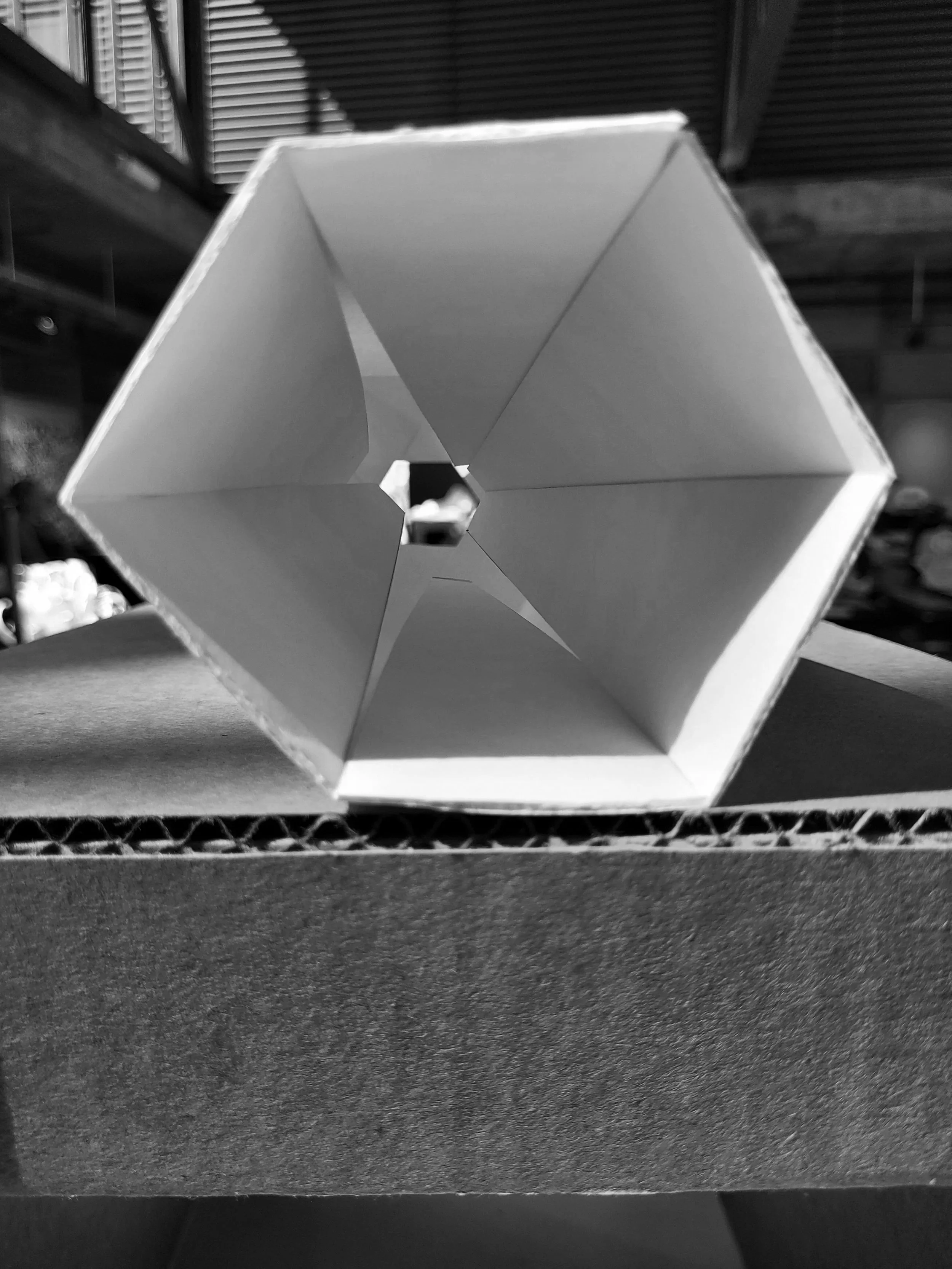 20250918_123836.jpg