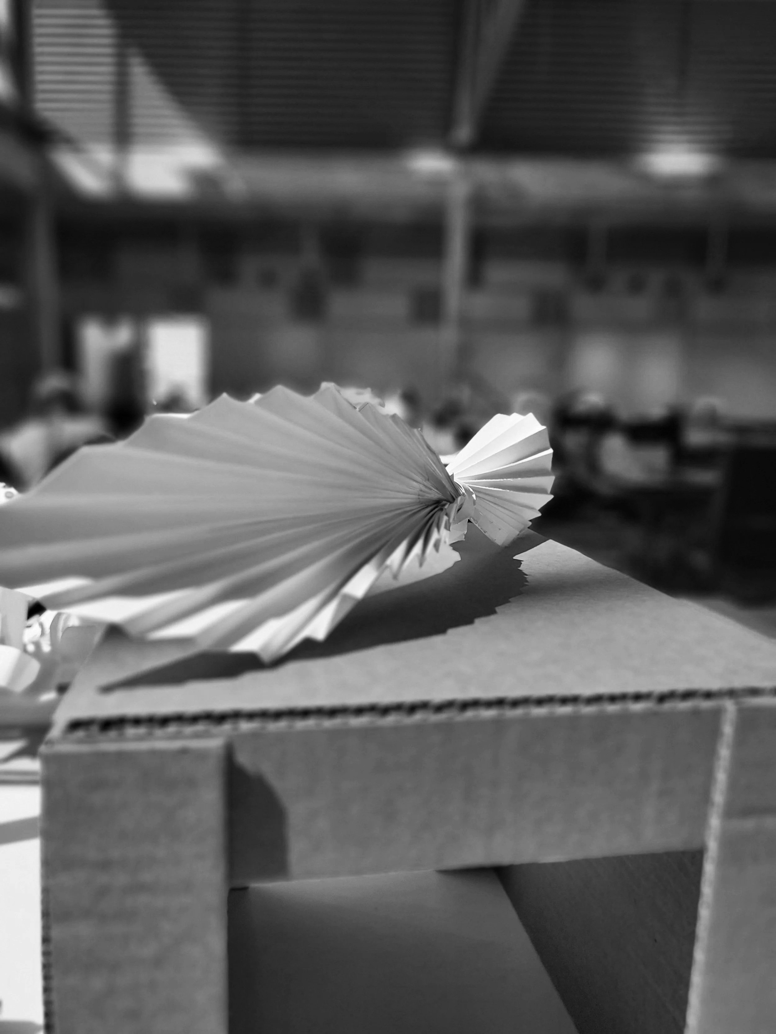 20250918_123703.jpg
