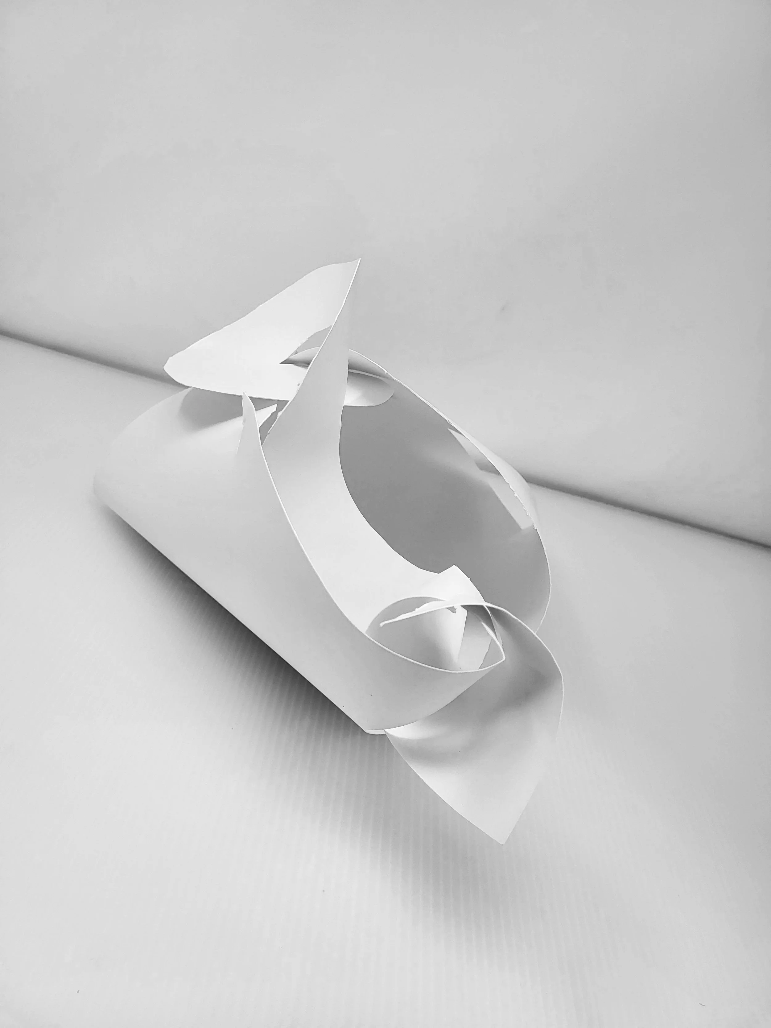 20250918_125326.jpg