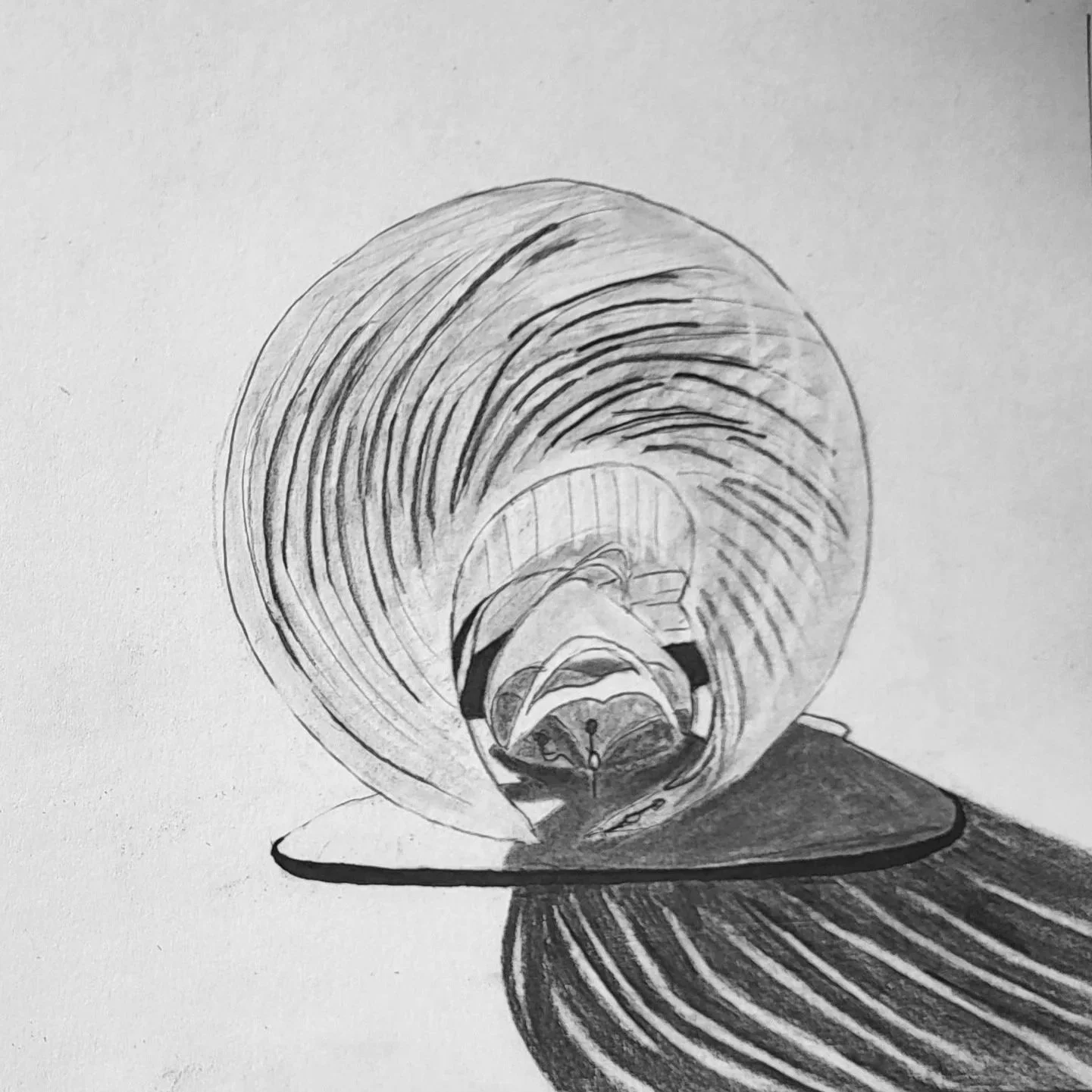 20250920_153904.jpg