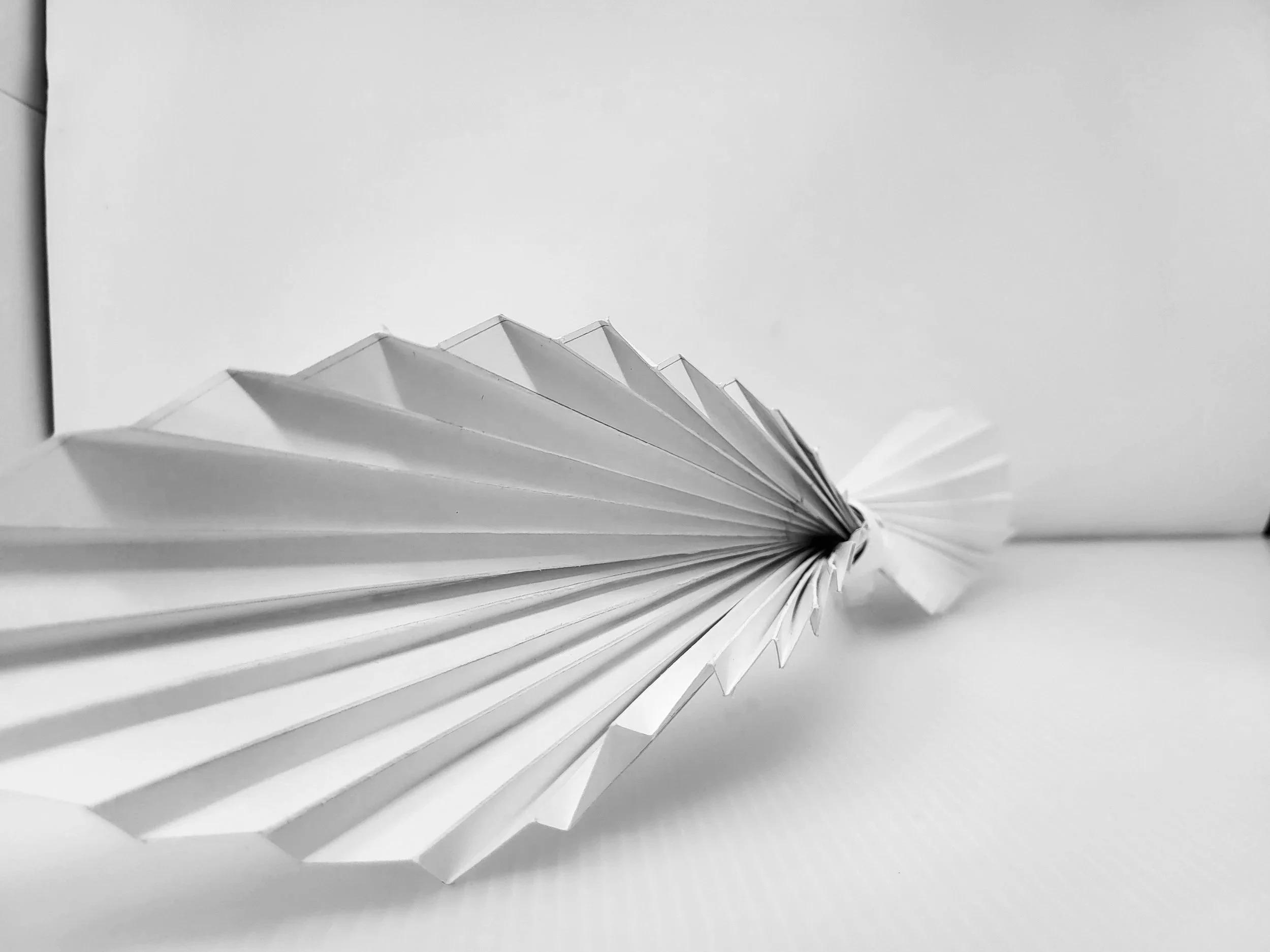 20250918_125058.jpg