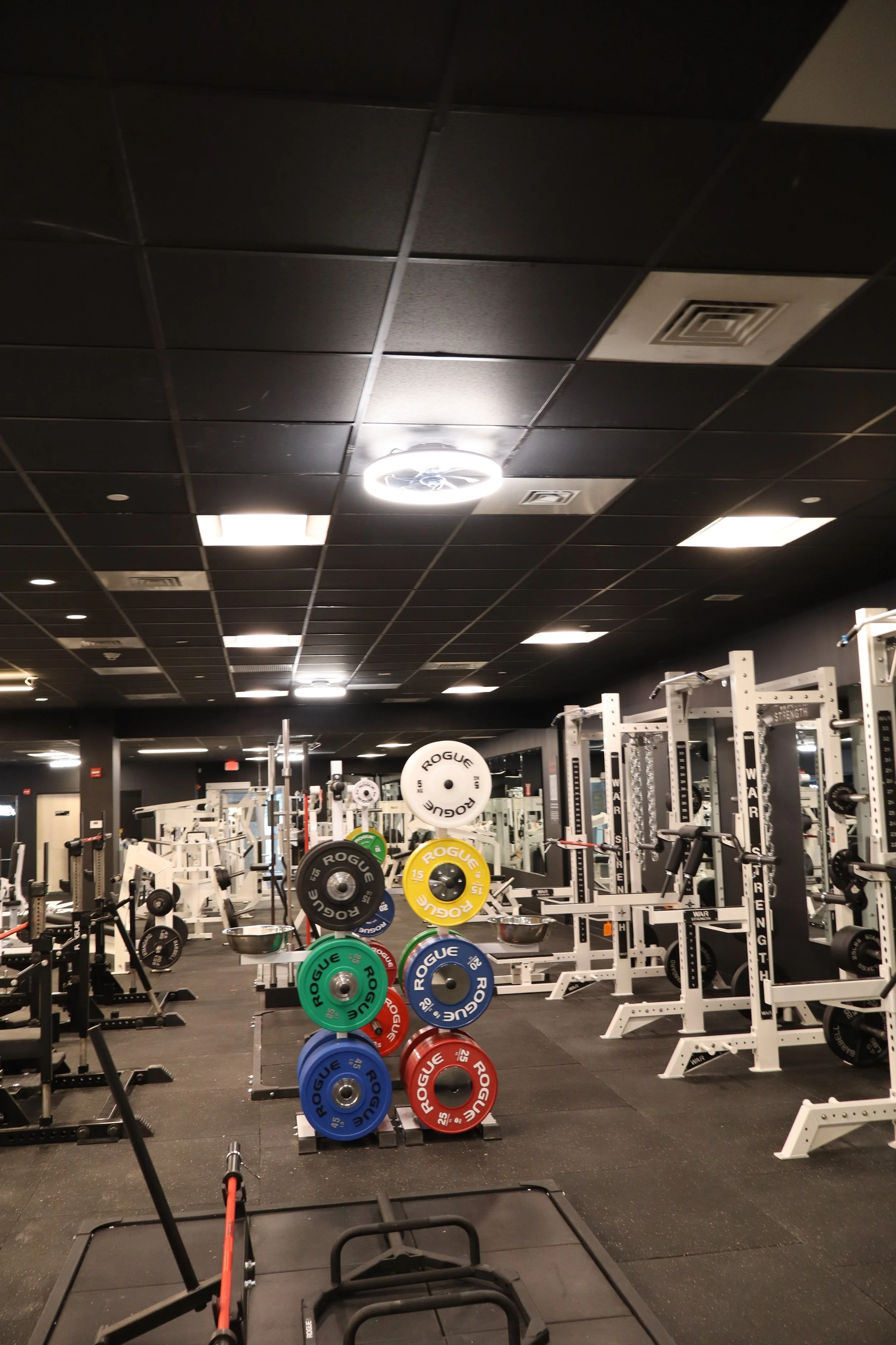 Empty gym with weightlifting equipment, colored Rogue weight plates stacked on a rack in foreground, and various machines and benches in the background.