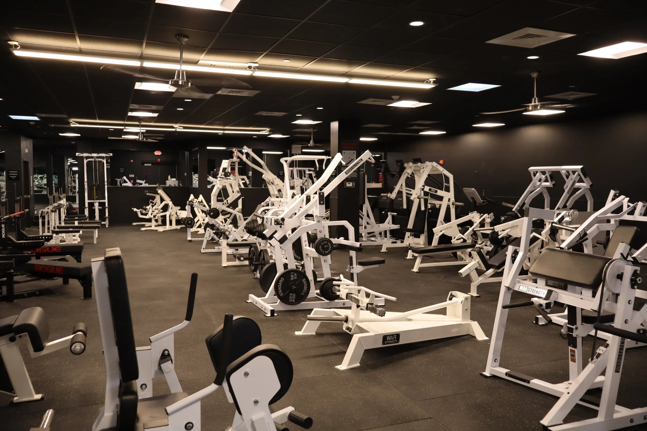Empty gym with various white workout machines and equipment on a black floor under black ceiling tiles with strip lighting.