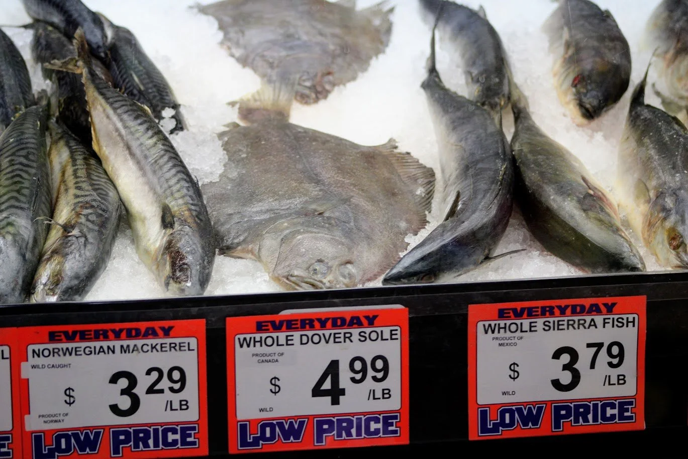 fishgrocery2.JPG