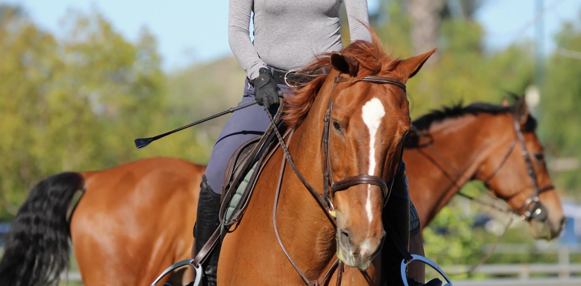 hansenhorse9.JPG